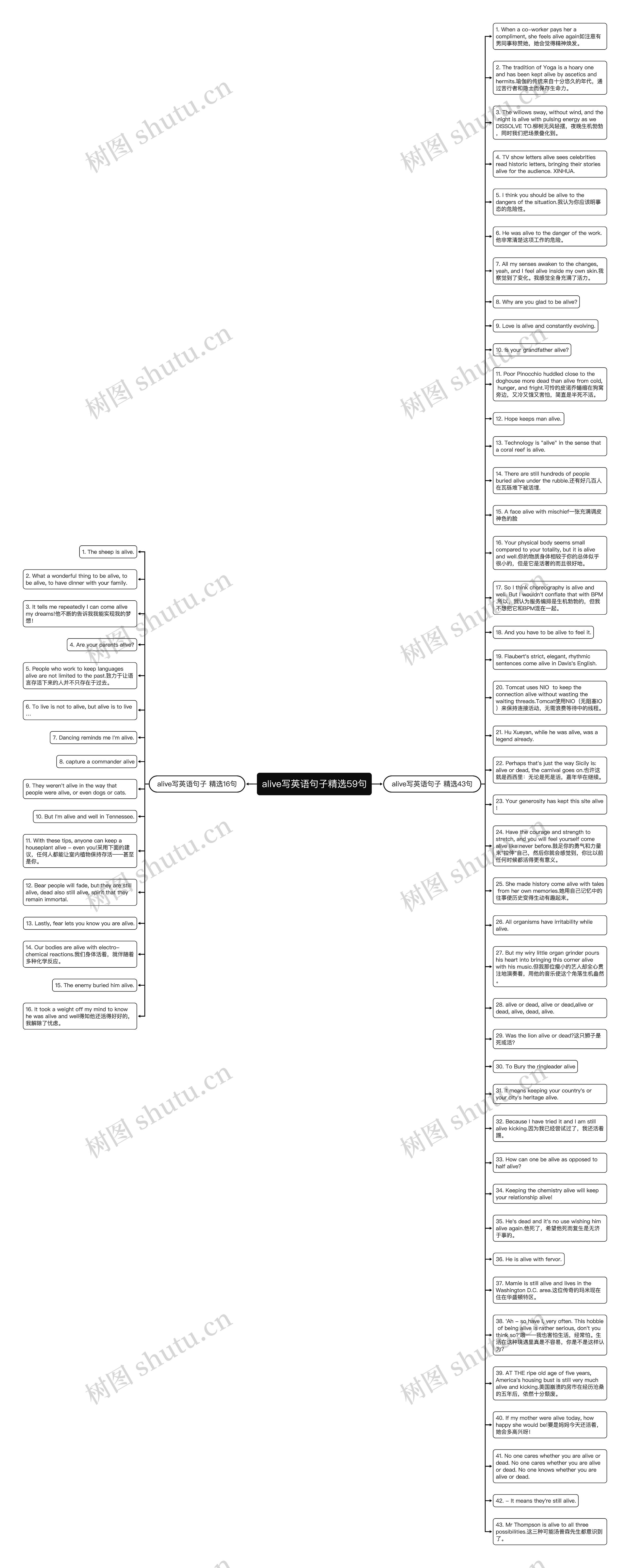 alive写英语句子精选59句思维导图
