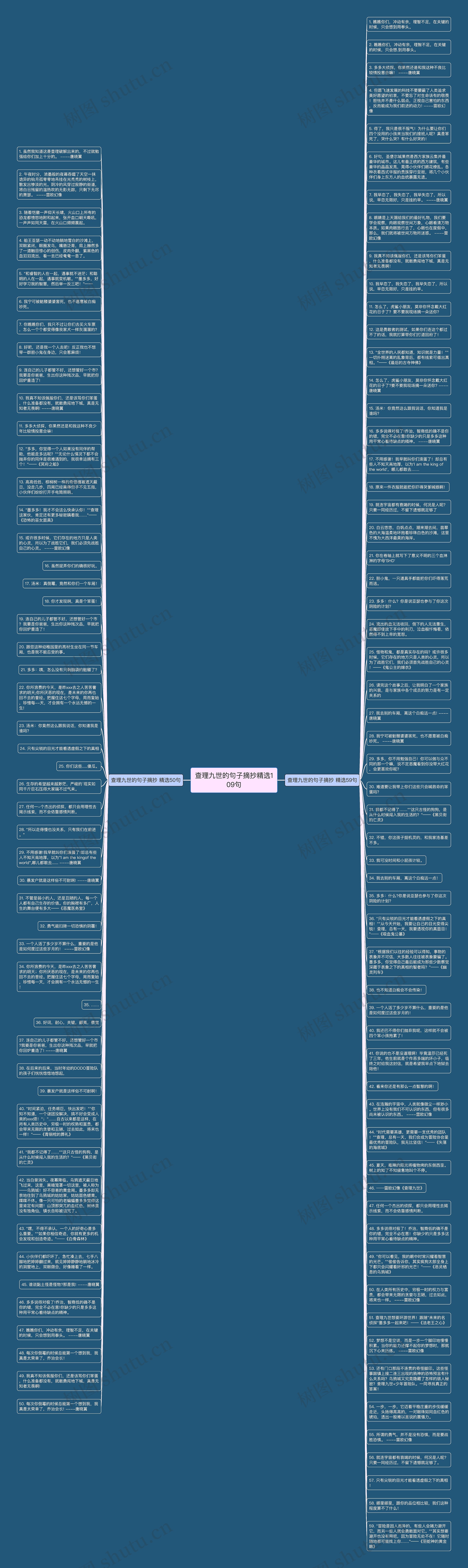 查理九世的句子摘抄精选109句思维导图