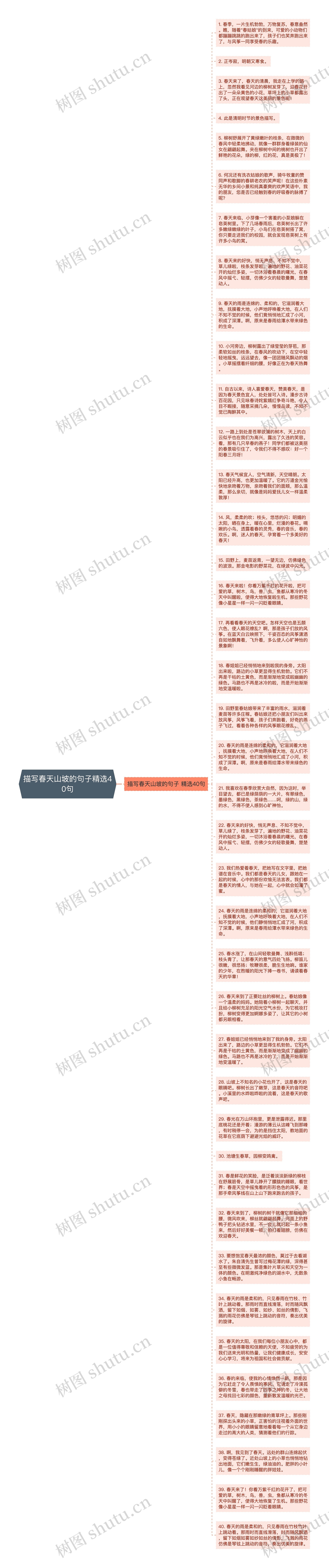 描写春天山坡的句子精选40句思维导图