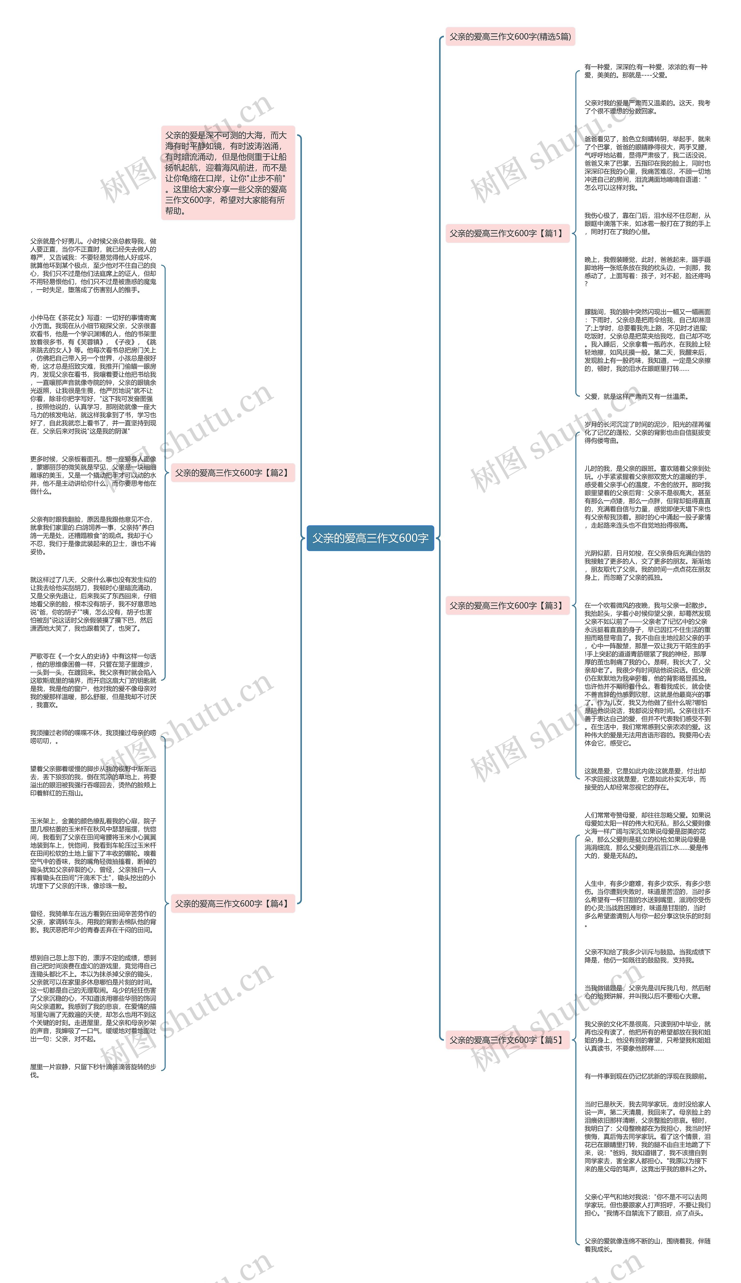 父亲的爱高三作文600字思维导图