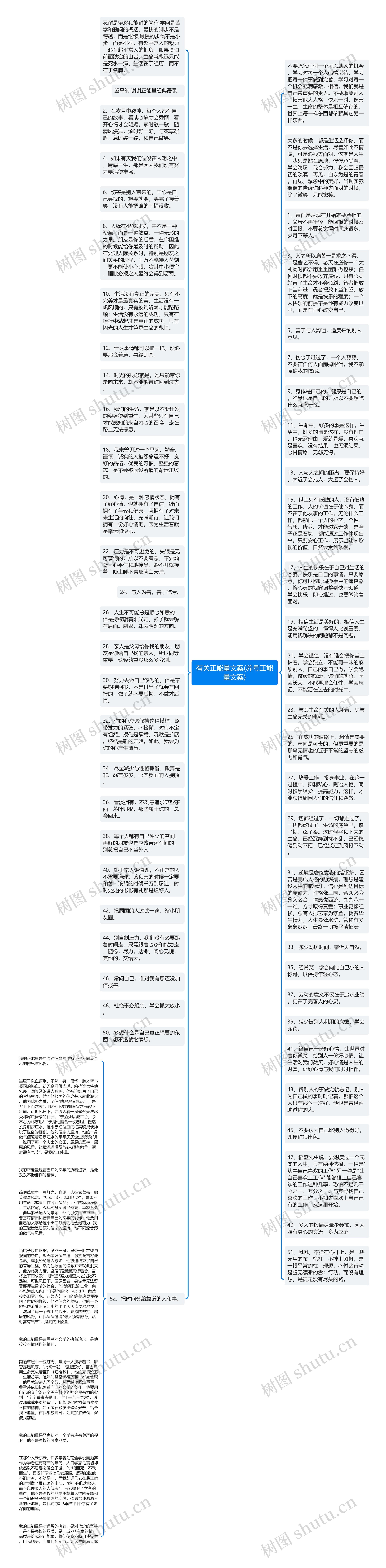 有关正能量文案(养号正能量文案)