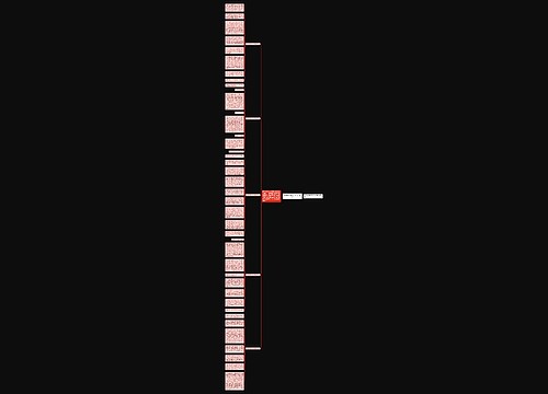 春节那些事高二作文800字