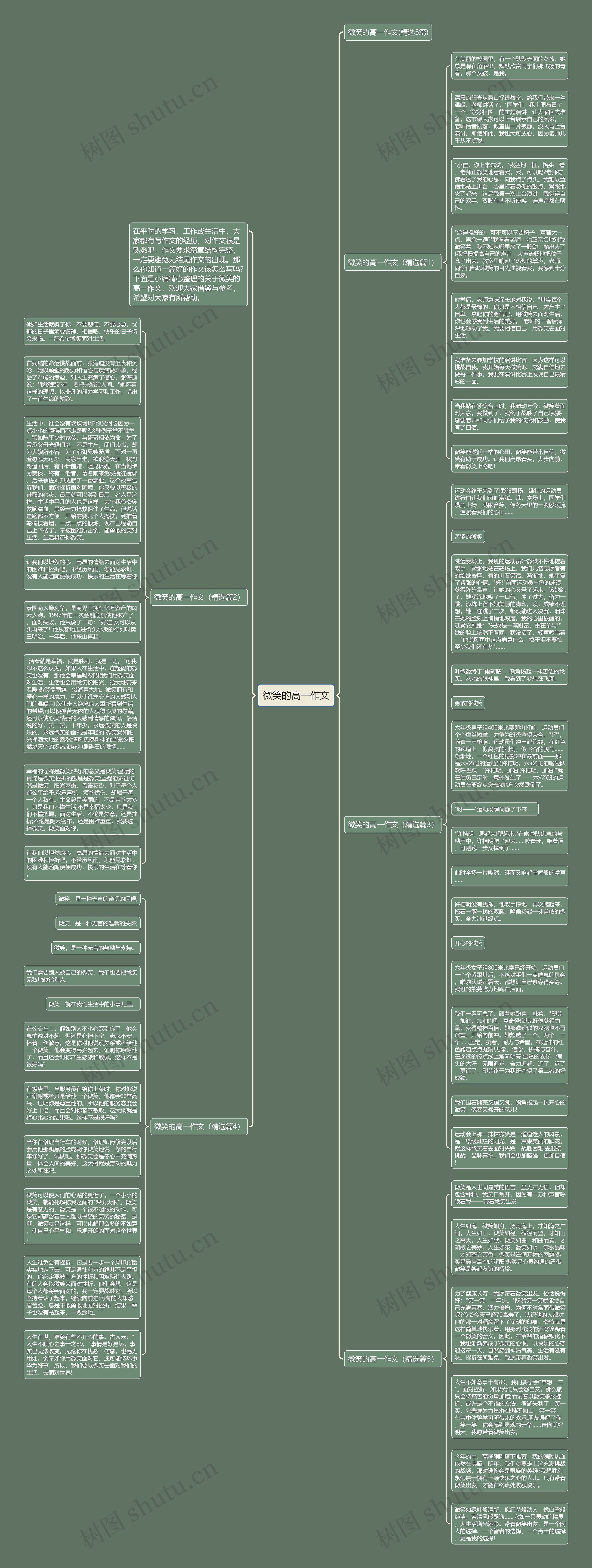 微笑的高一作文思维导图