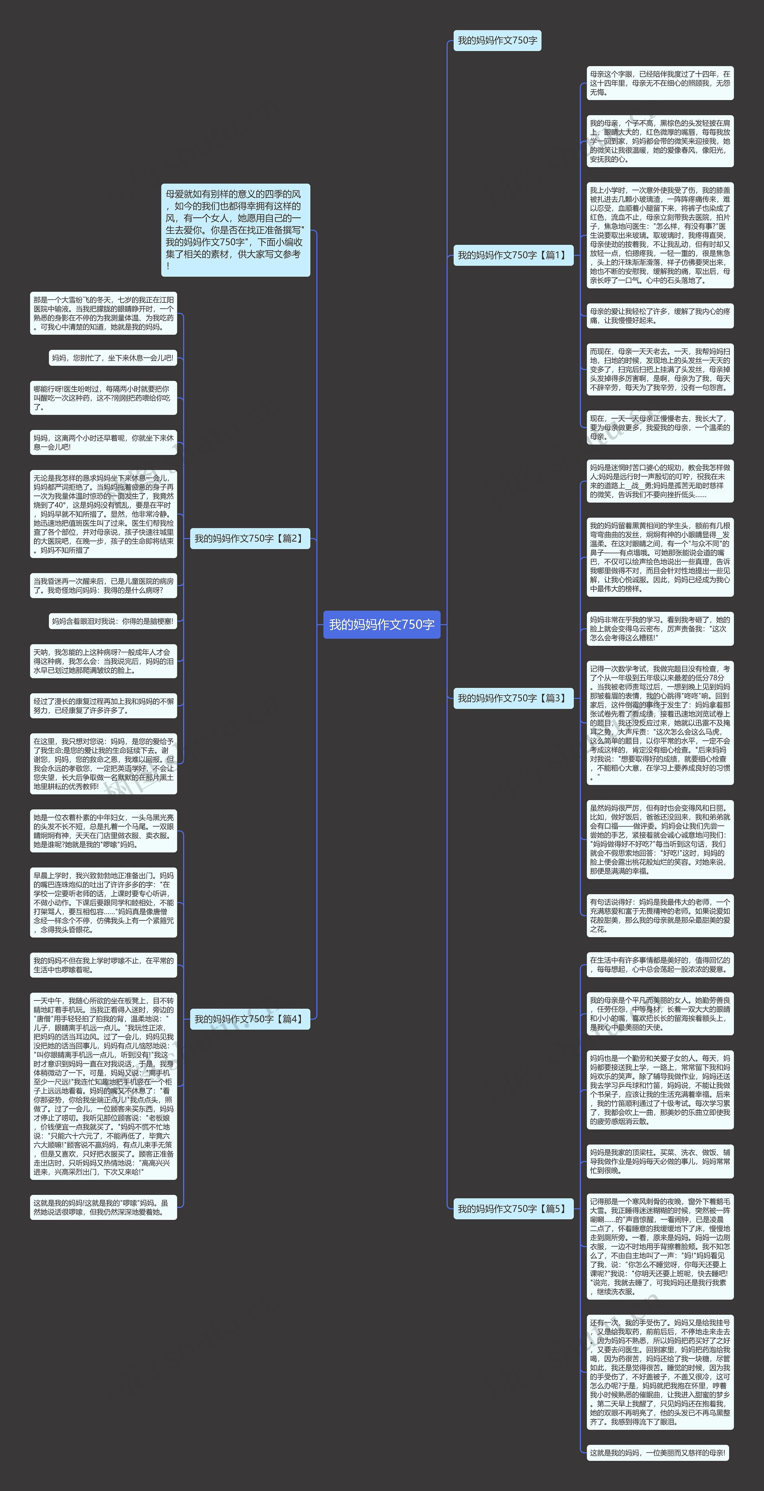 我的妈妈作文750字