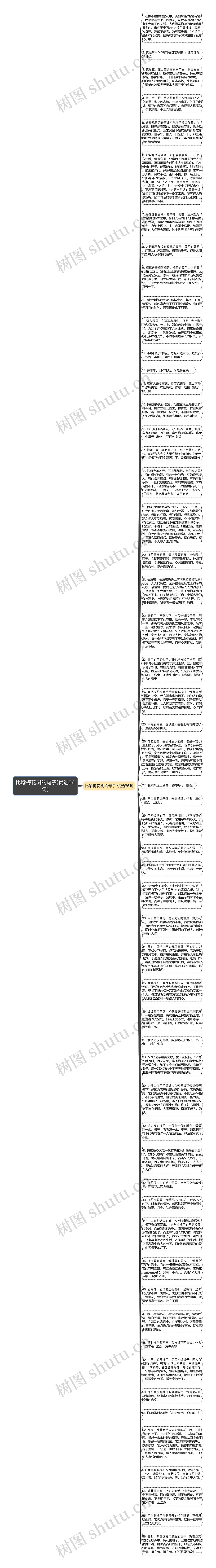 比喻梅花树的句子(优选56句)