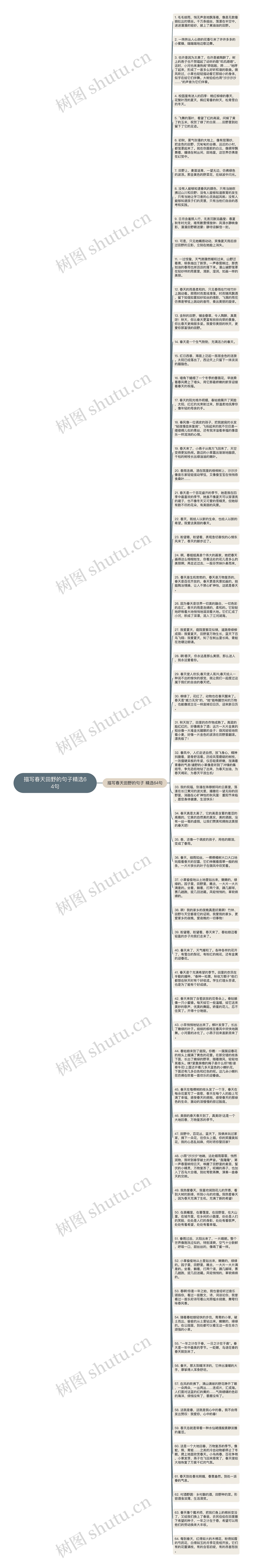 描写春天田野的句子精选64句思维导图