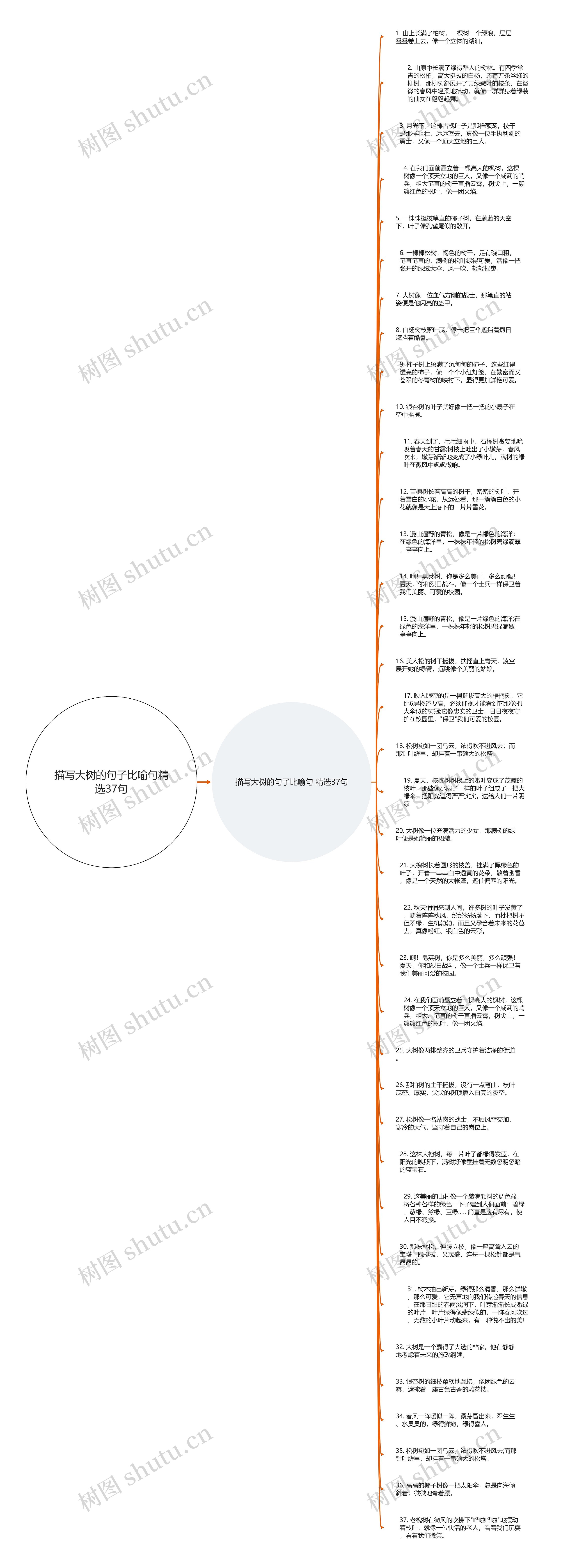 描写大树的句子比喻句精选37句思维导图