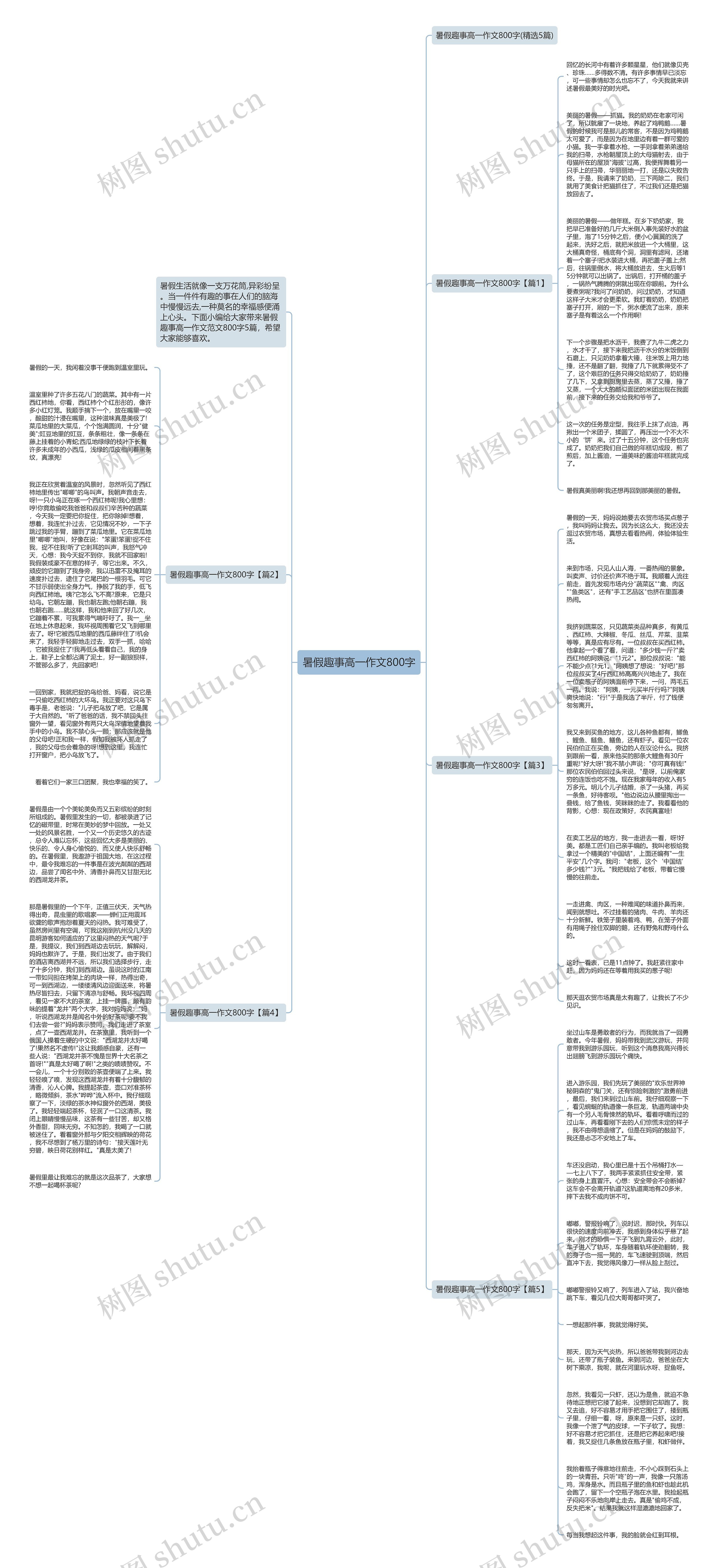 暑假趣事高一作文800字思维导图