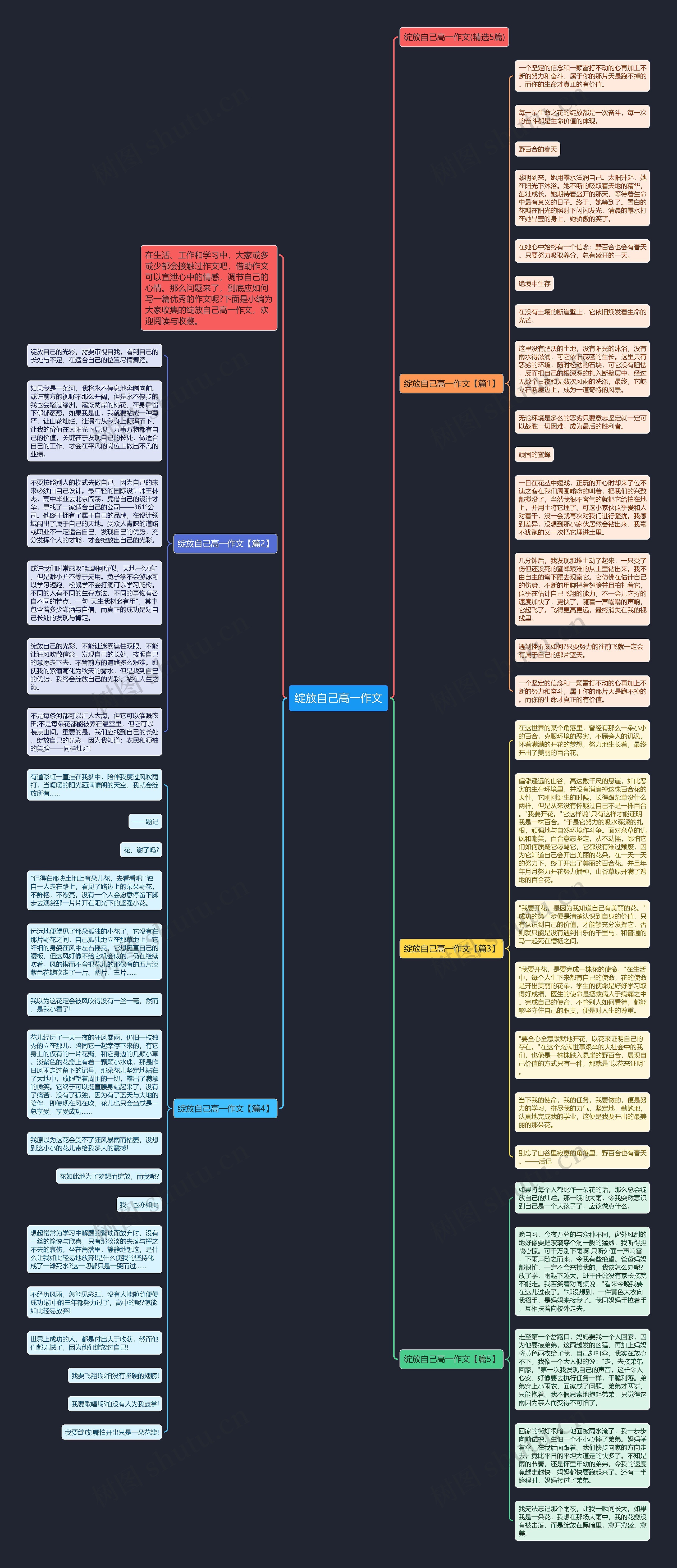 绽放自己高一作文思维导图