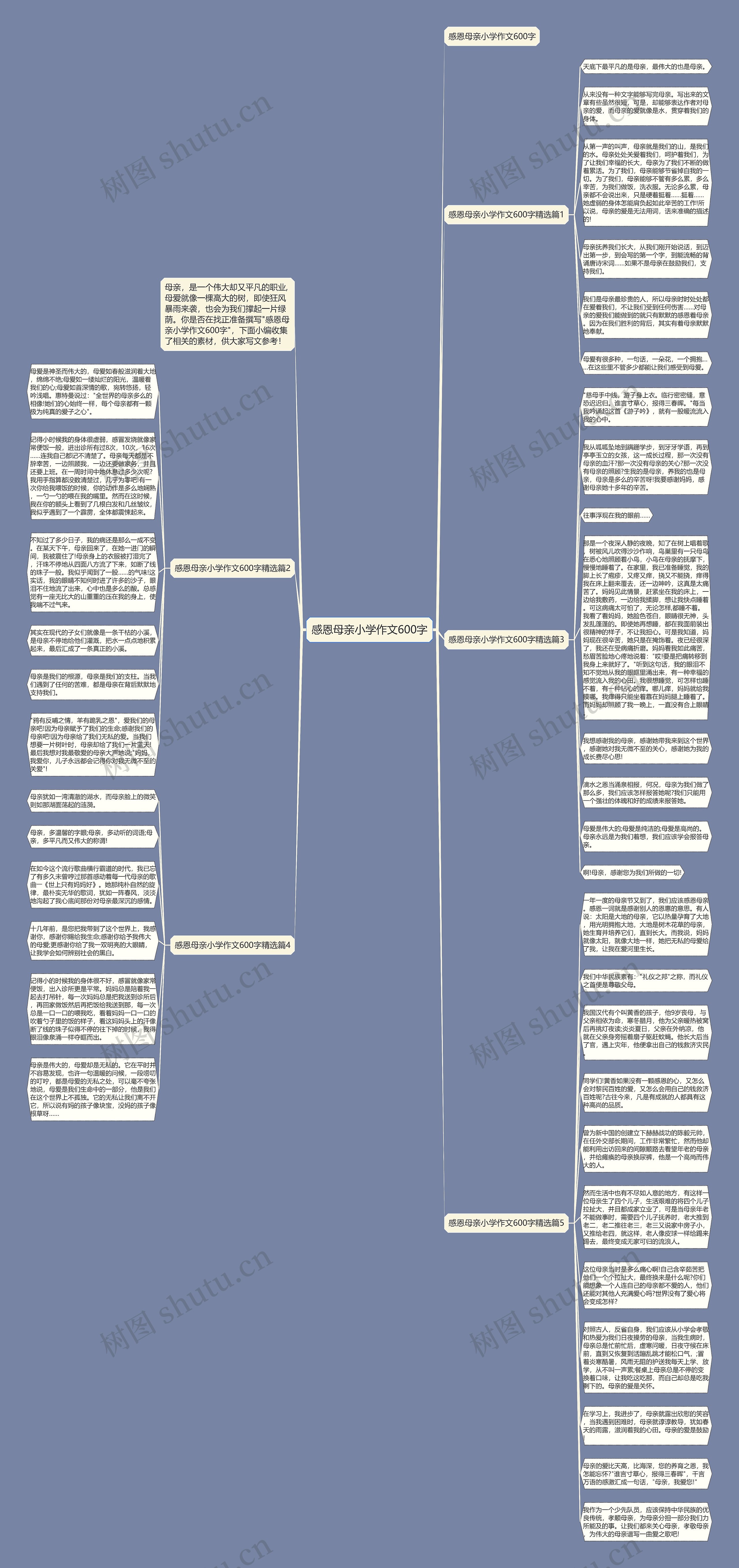 感恩母亲小学作文600字思维导图