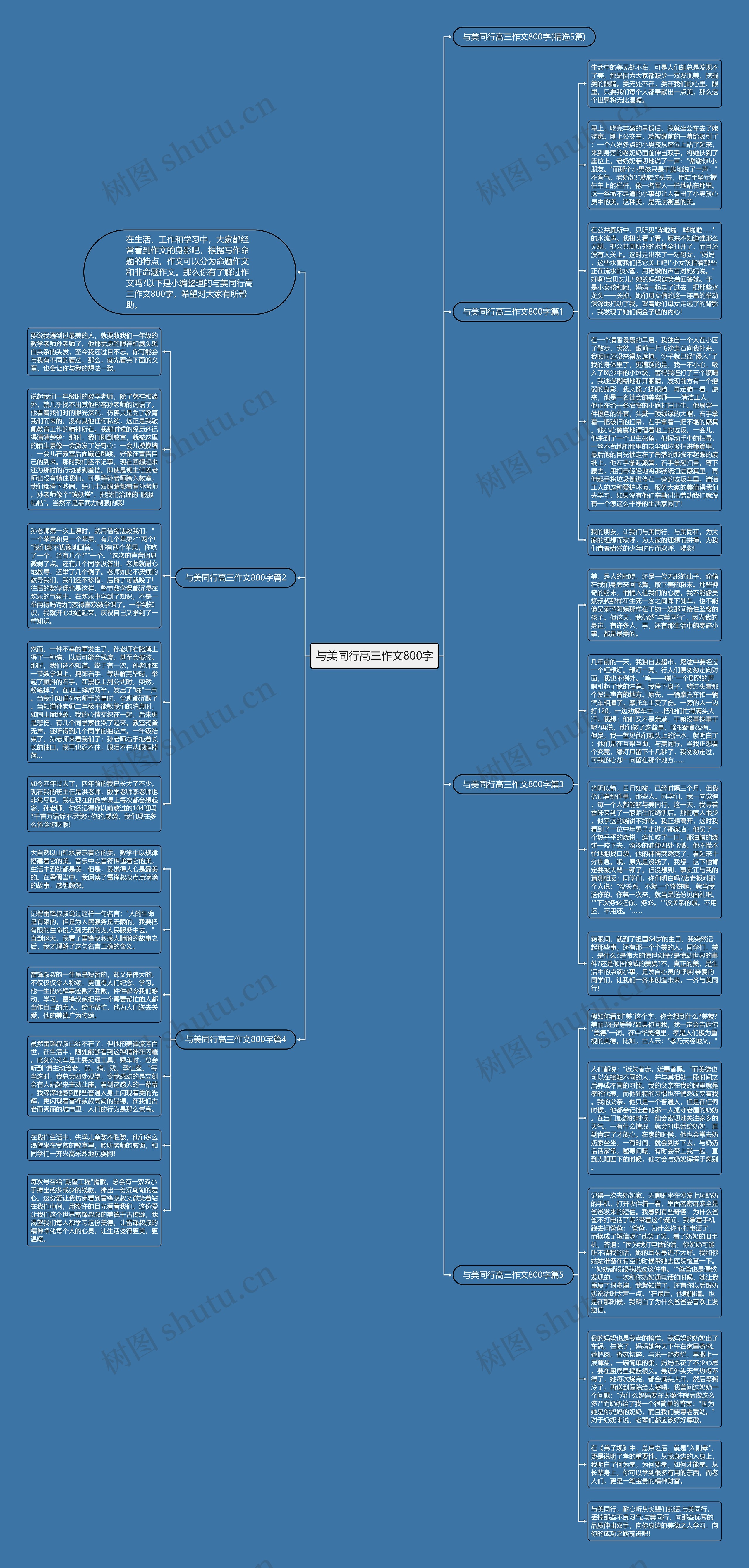 与美同行高三作文800字思维导图
