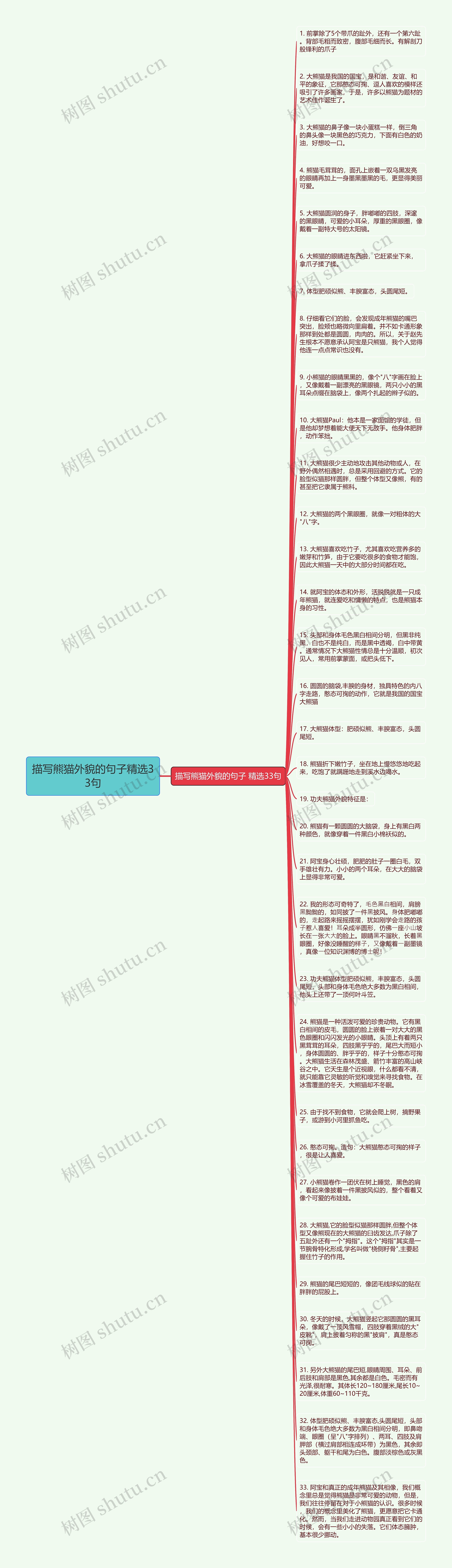 描写熊猫外貌的句子精选33句思维导图