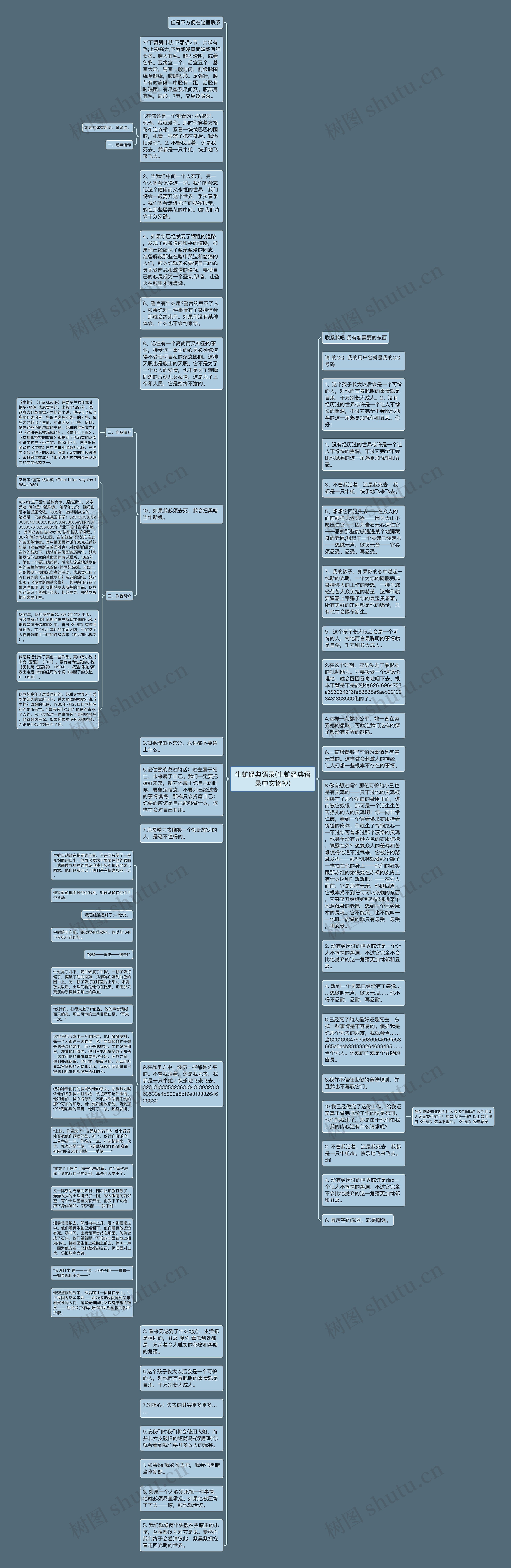 牛虻经典语录(牛虻经典语录中文摘抄)思维导图