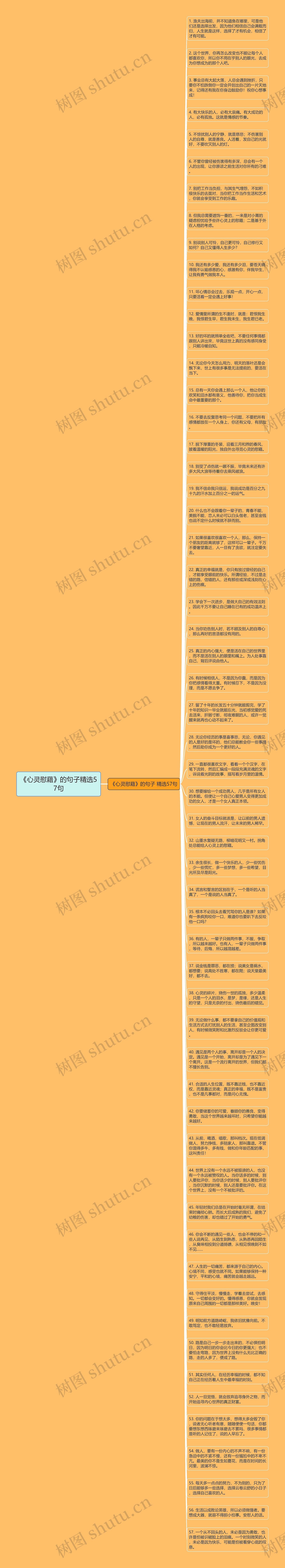 《心灵慰藉》的句子精选57句思维导图