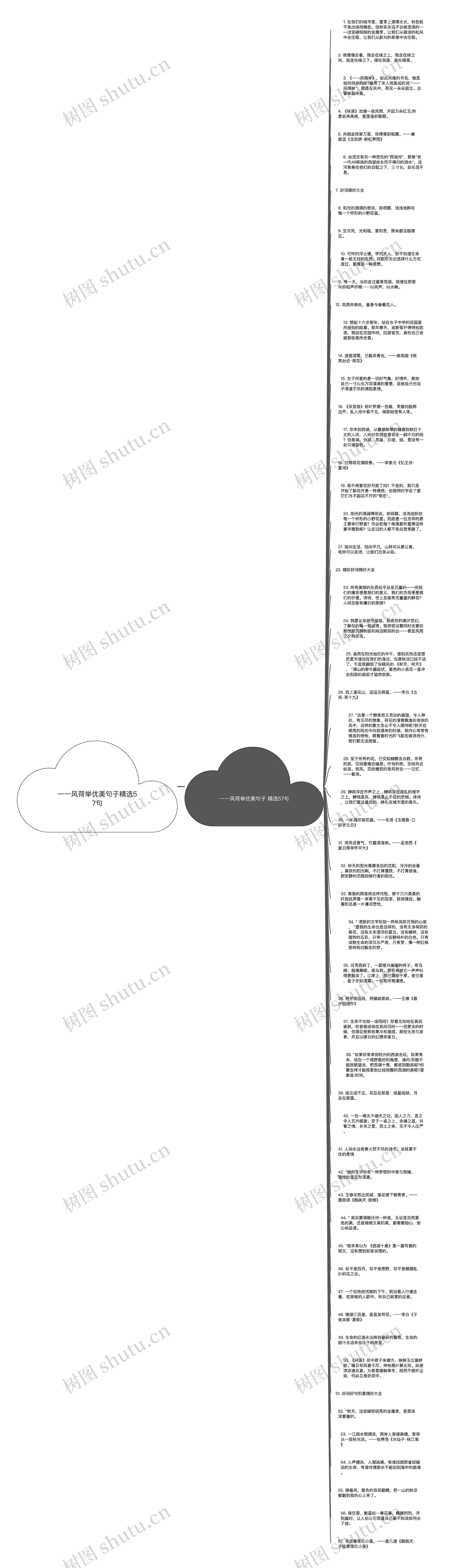 一一风荷举优美句子精选57句思维导图
