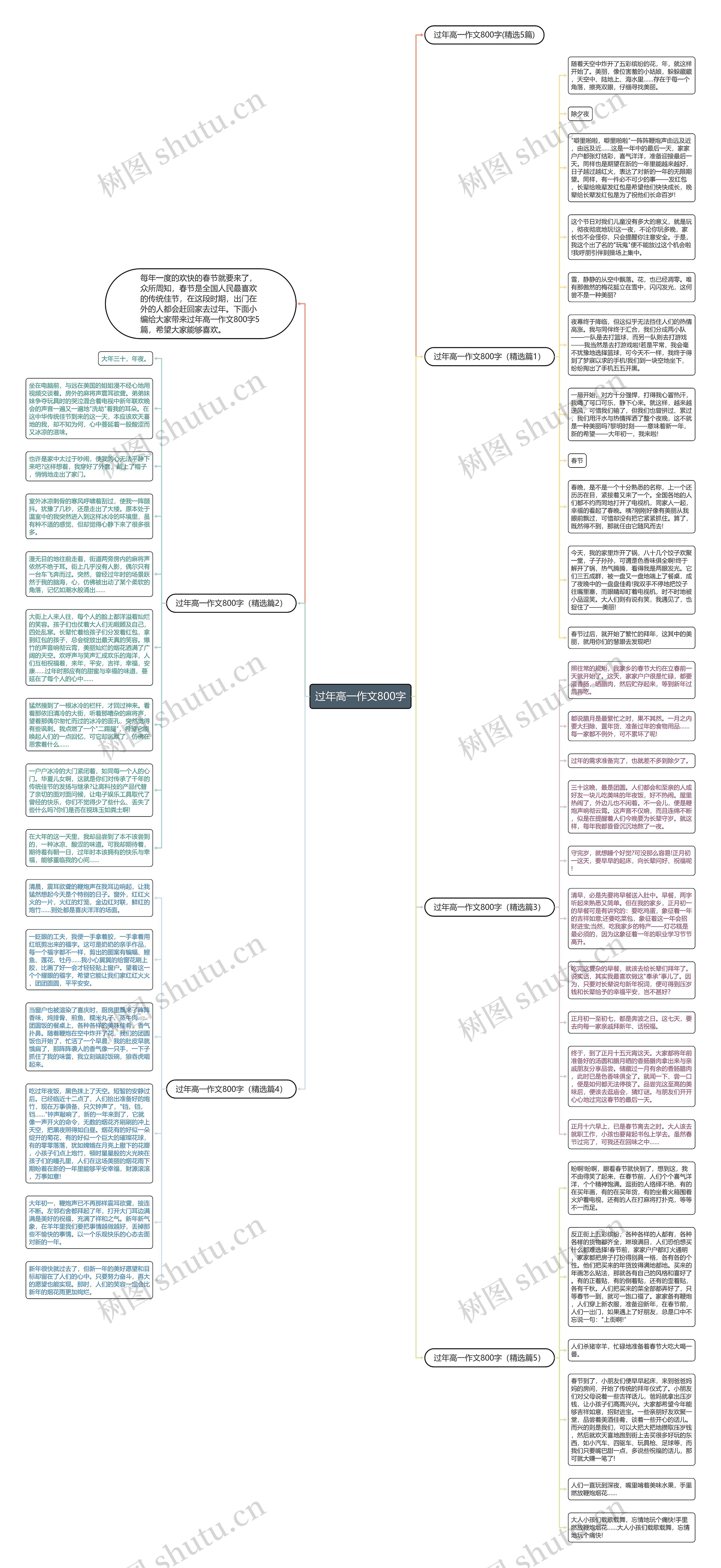 过年高一作文800字思维导图