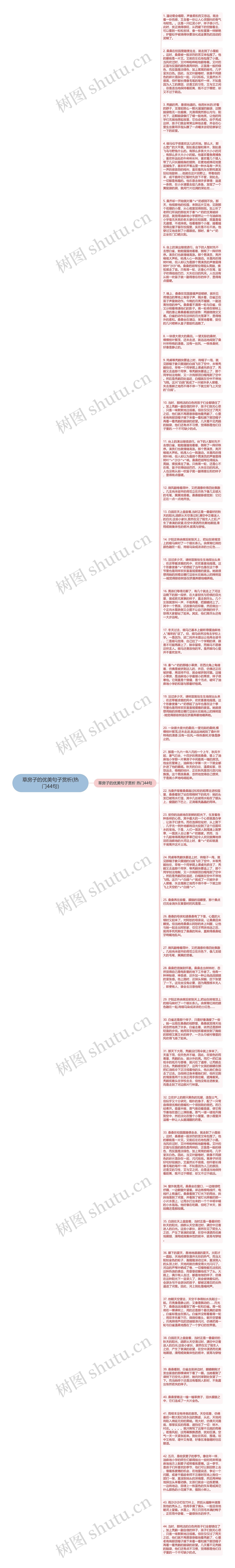 草房子的优美句子赏析(热门44句)思维导图