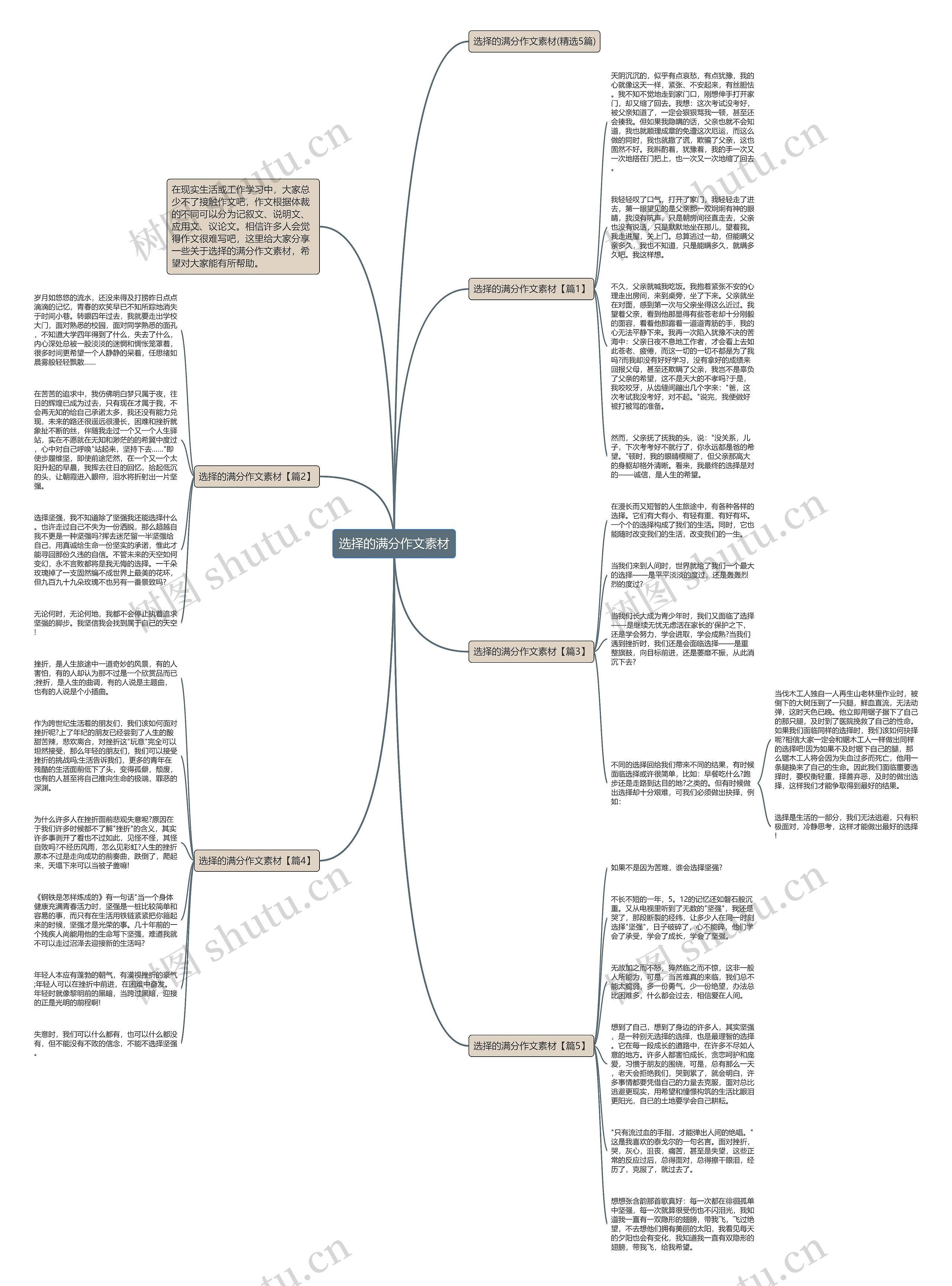 选择的满分作文素材思维导图