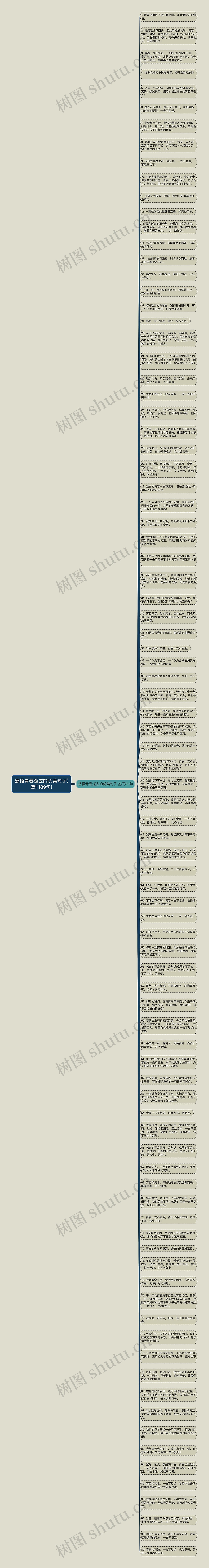 感悟青春逝去的优美句子(热门89句)思维导图