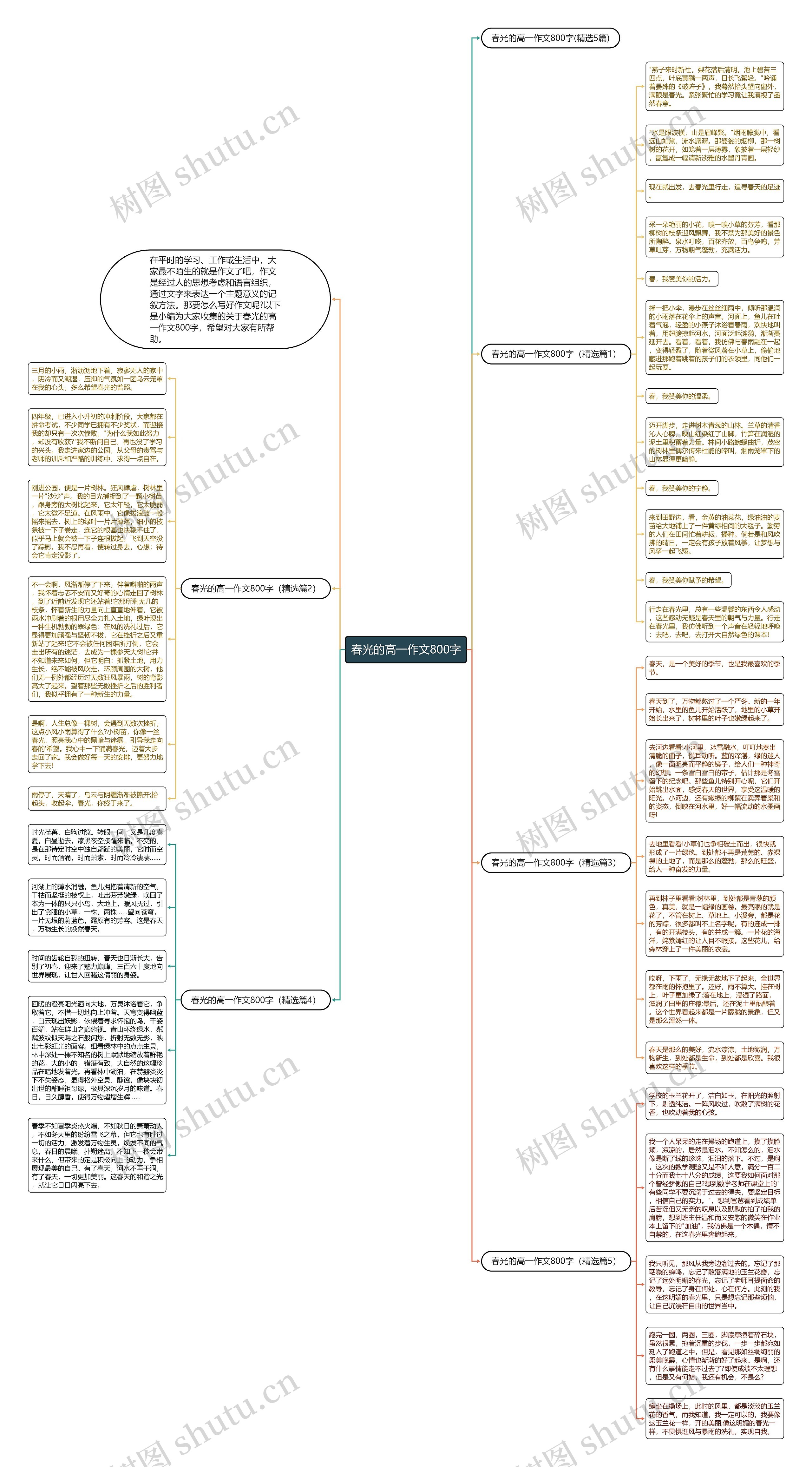 春光的高一作文800字思维导图
