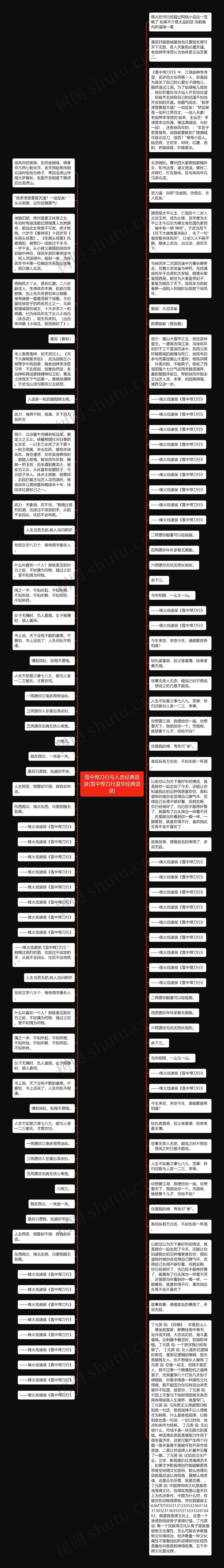 雪中悍刀行与人言经典语录(雪中悍刀行温华经典语录)思维导图