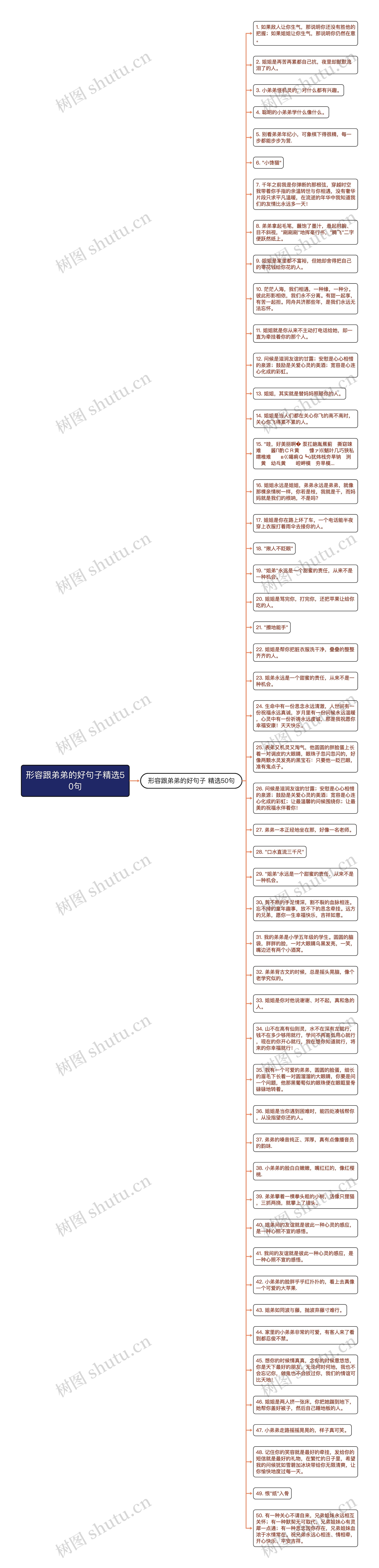 形容跟弟弟的好句子精选50句