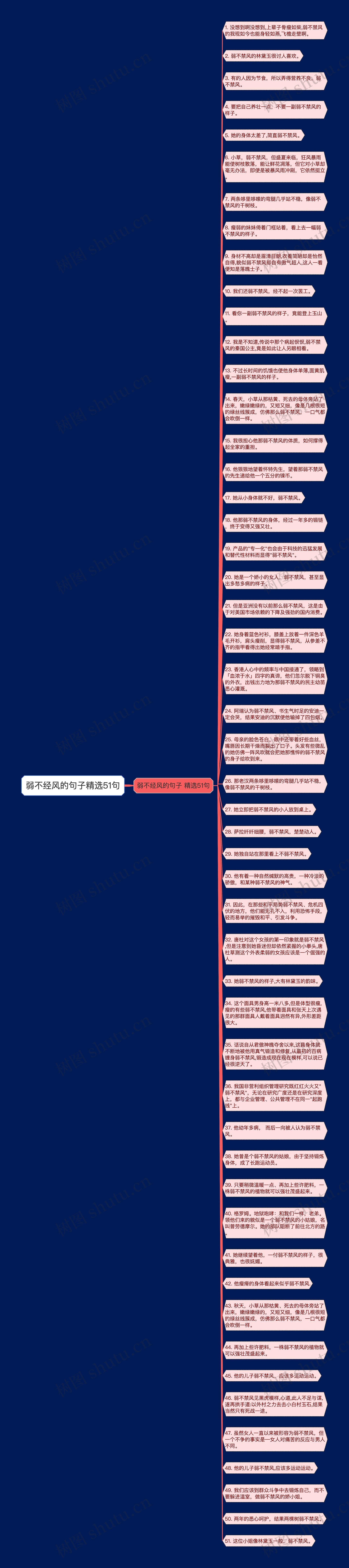 弱不经风的句子精选51句思维导图