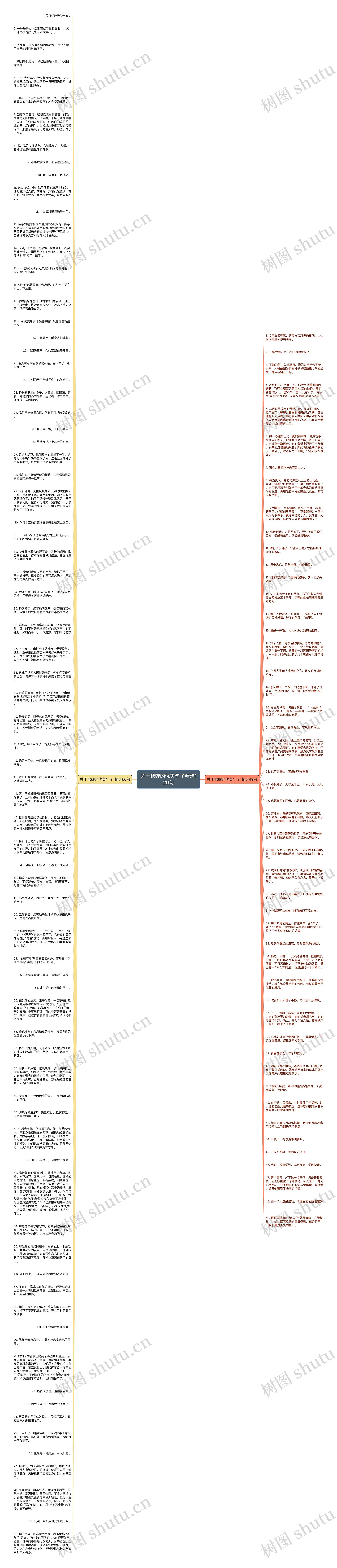 关于秋蝉的优美句子精选129句思维导图