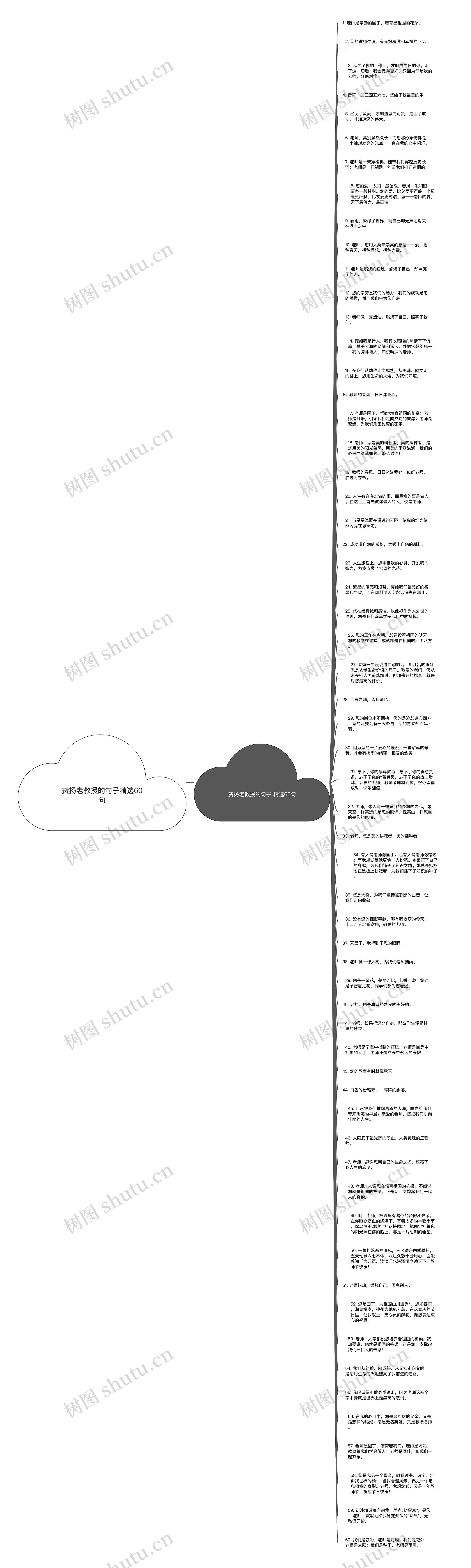 赞扬老教授的句子精选60句思维导图