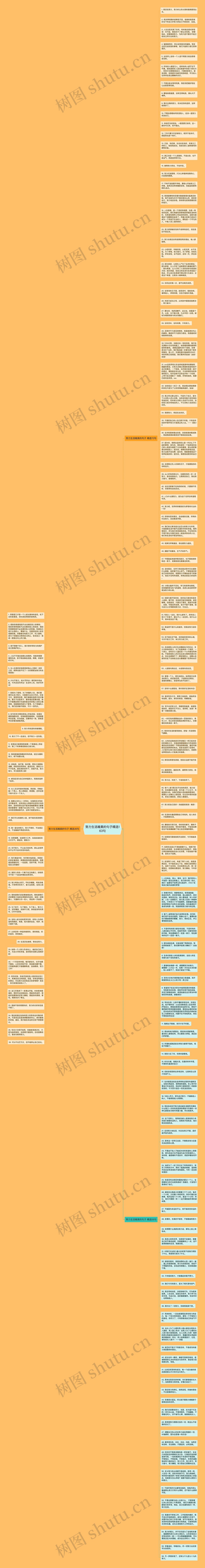 努力生活唯美的句子精选163句思维导图