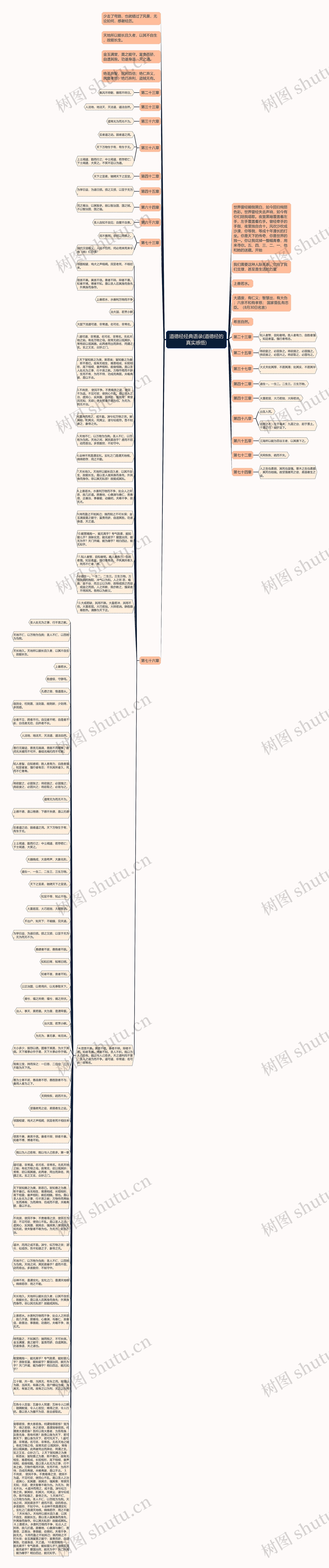 道德经经典语录(道德经的真实感悟)思维导图
