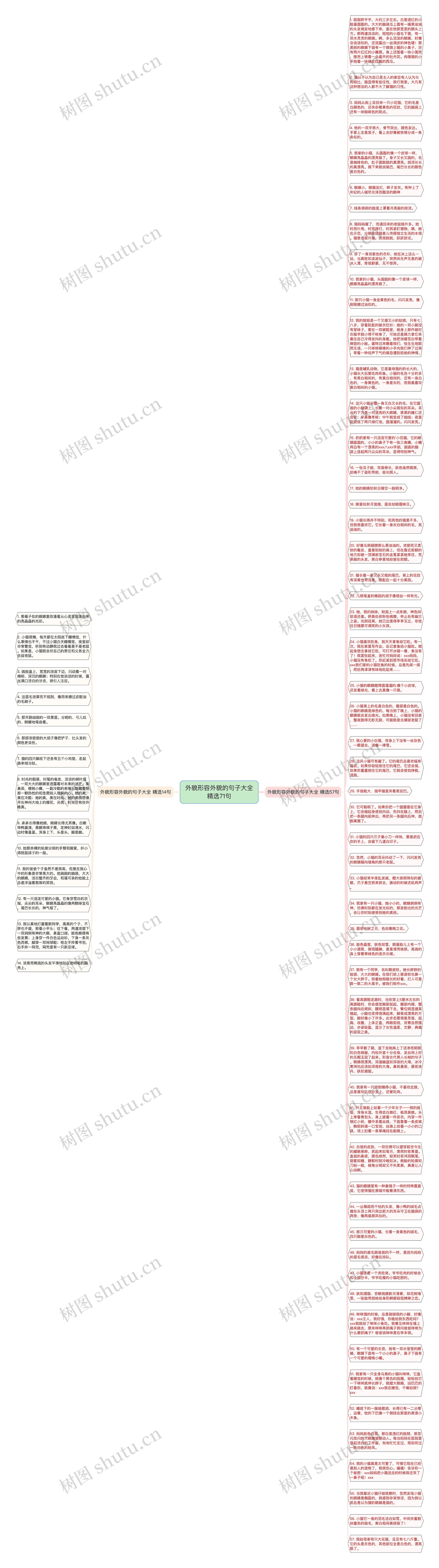 外貌形容外貌的句子大全精选71句思维导图