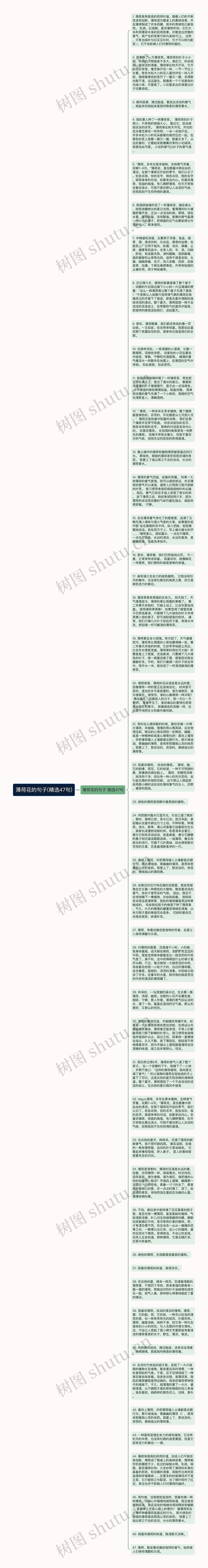 薄荷花的句子(精选47句)思维导图