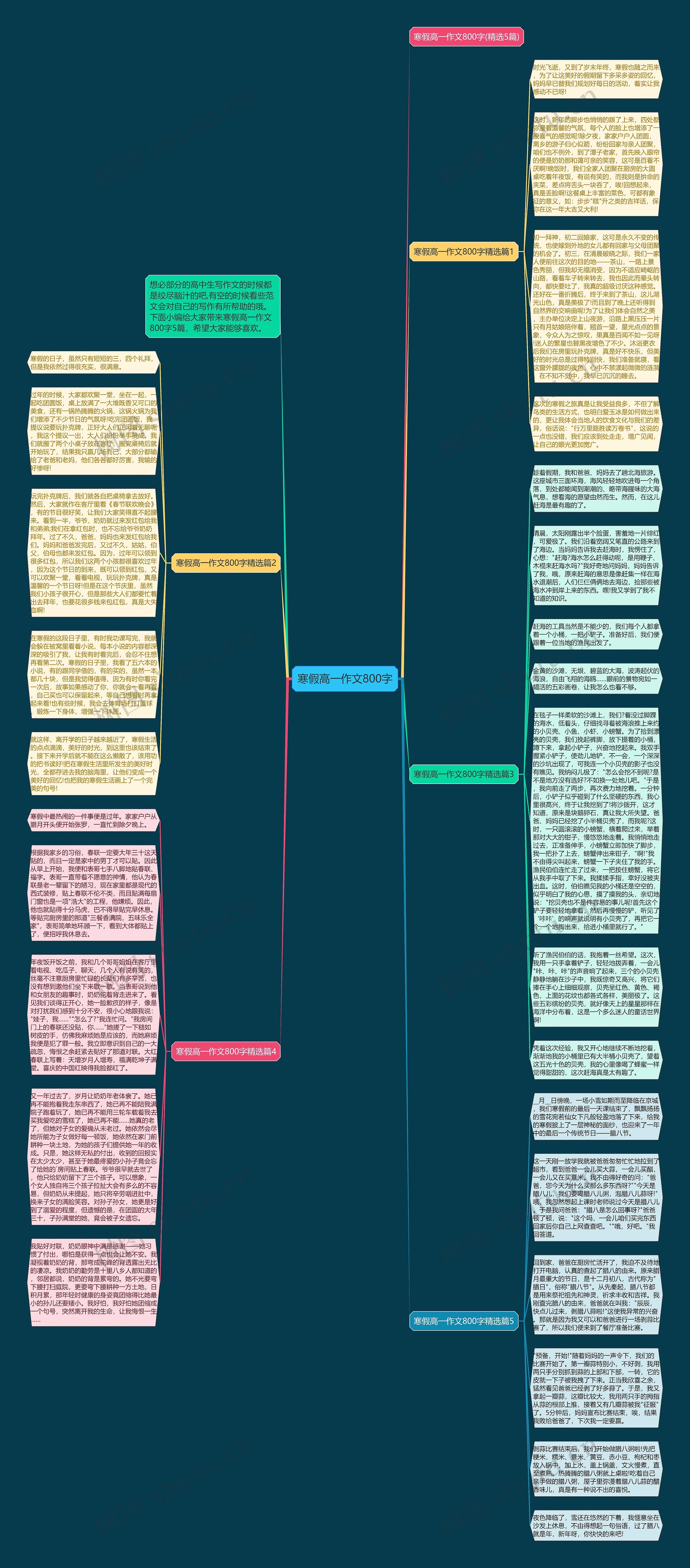 寒假高一作文800字思维导图