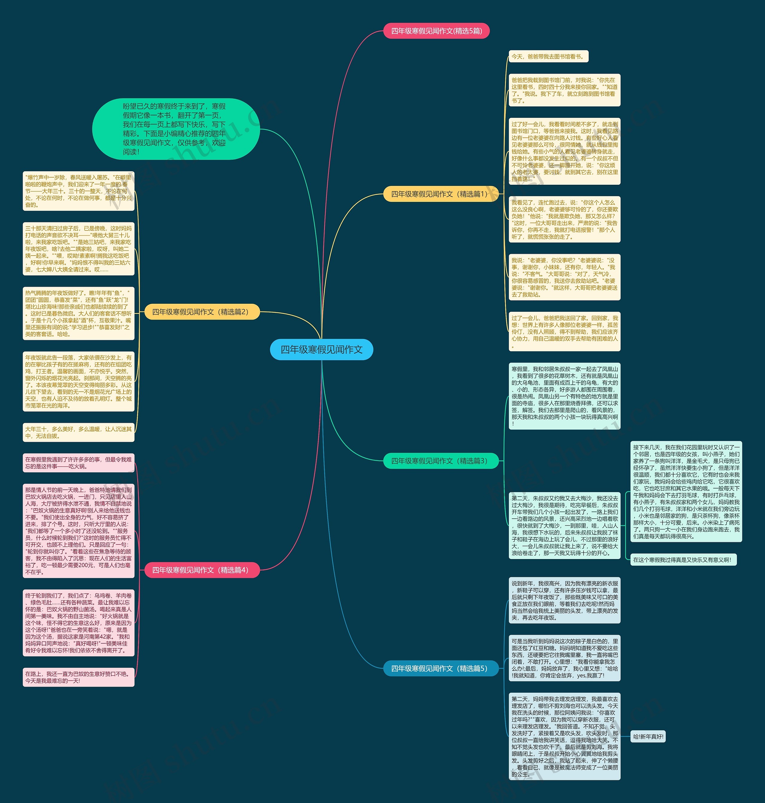 四年级寒假见闻作文思维导图