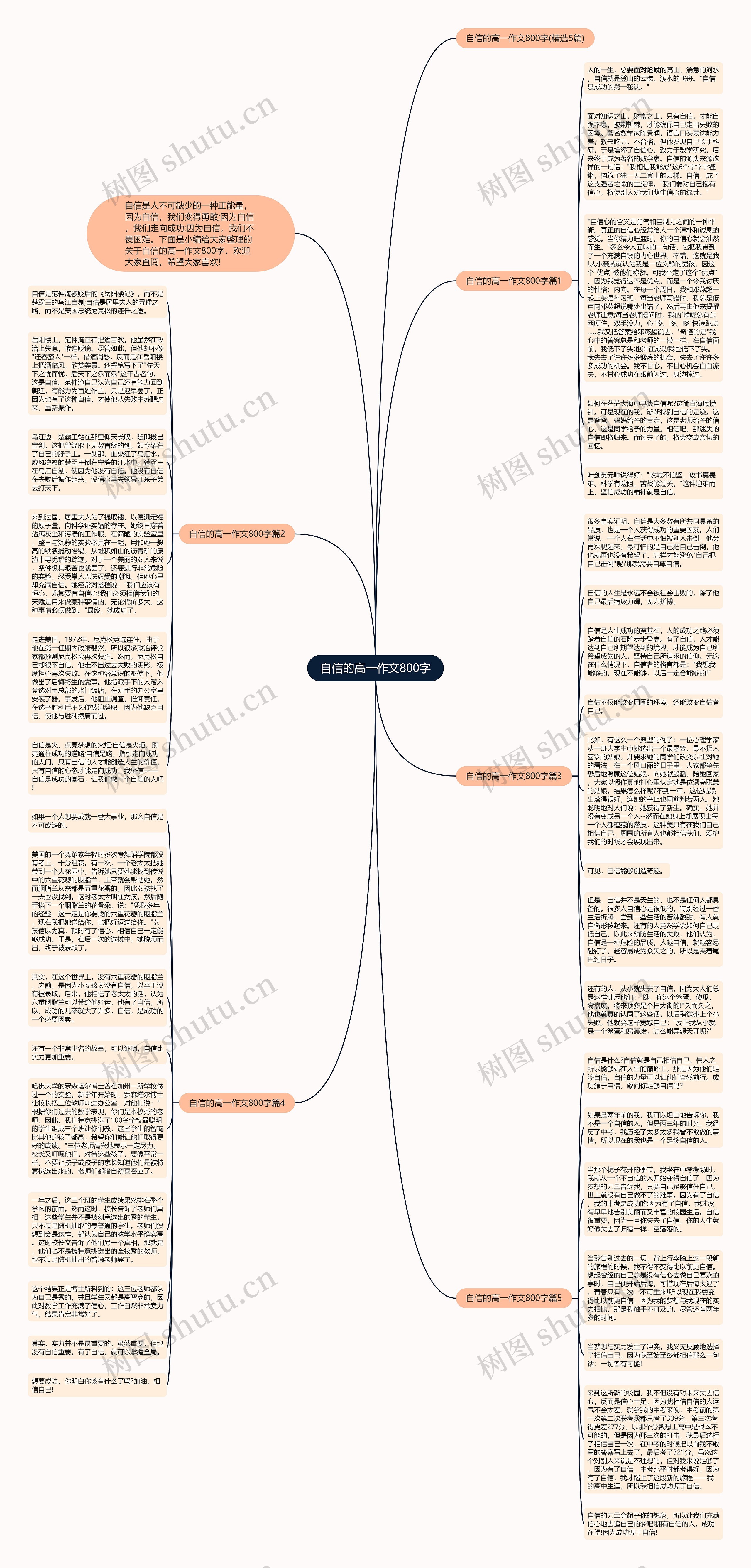 自信的高一作文800字思维导图