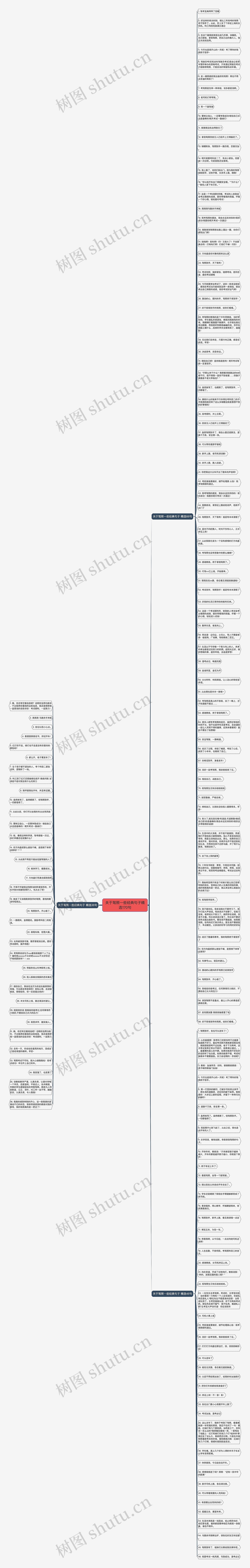 关于驾照一些经典句子精选170句思维导图