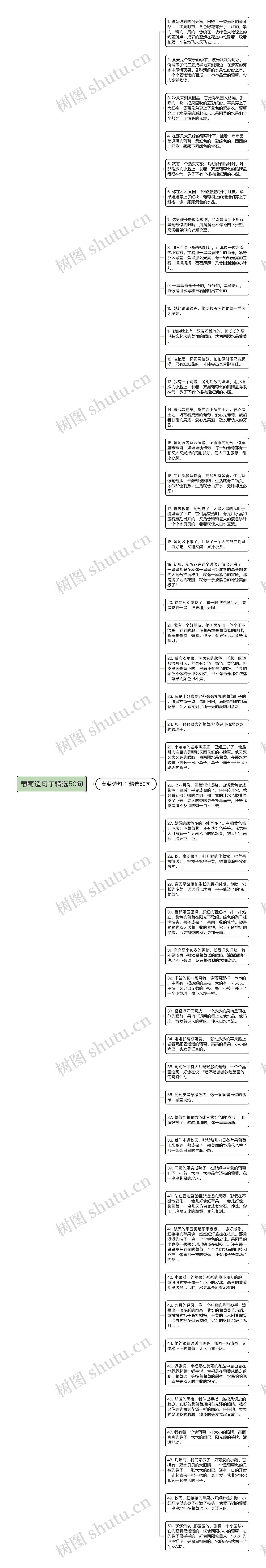 葡萄造句子精选50句思维导图