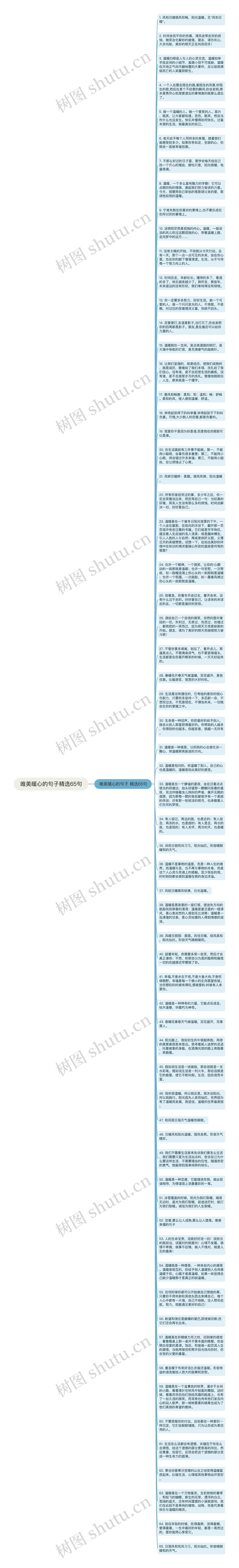 唯美暖心的句子精选65句思维导图