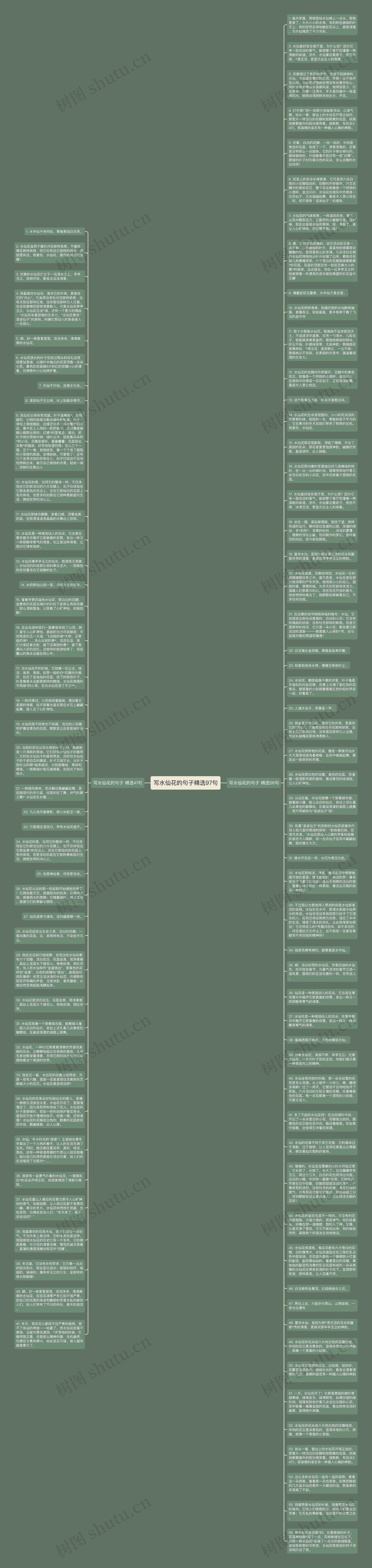 写水仙花的句子精选97句思维导图