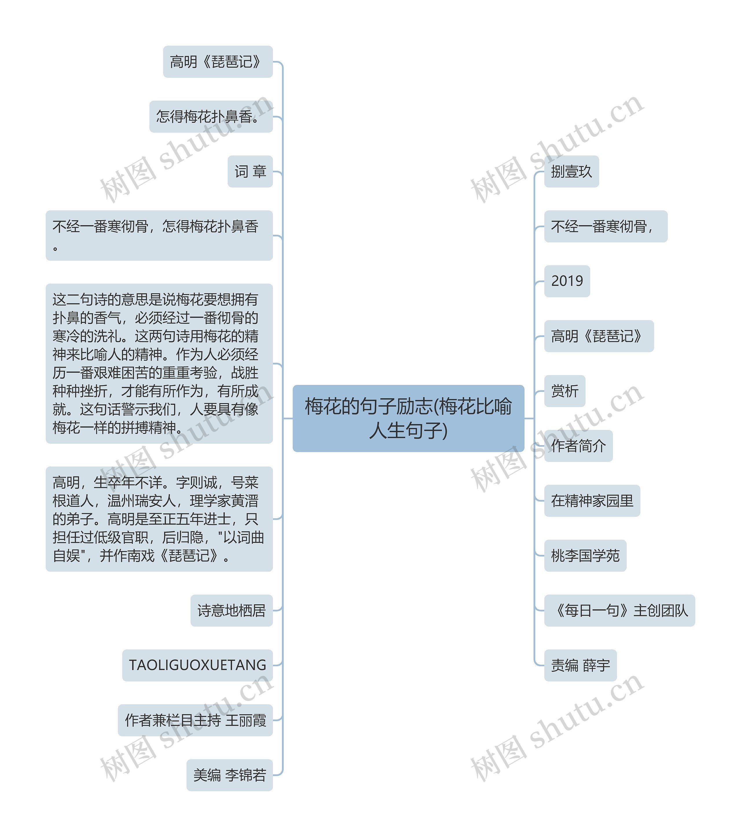 梅花的句子励志(梅花比喻人生句子)思维导图