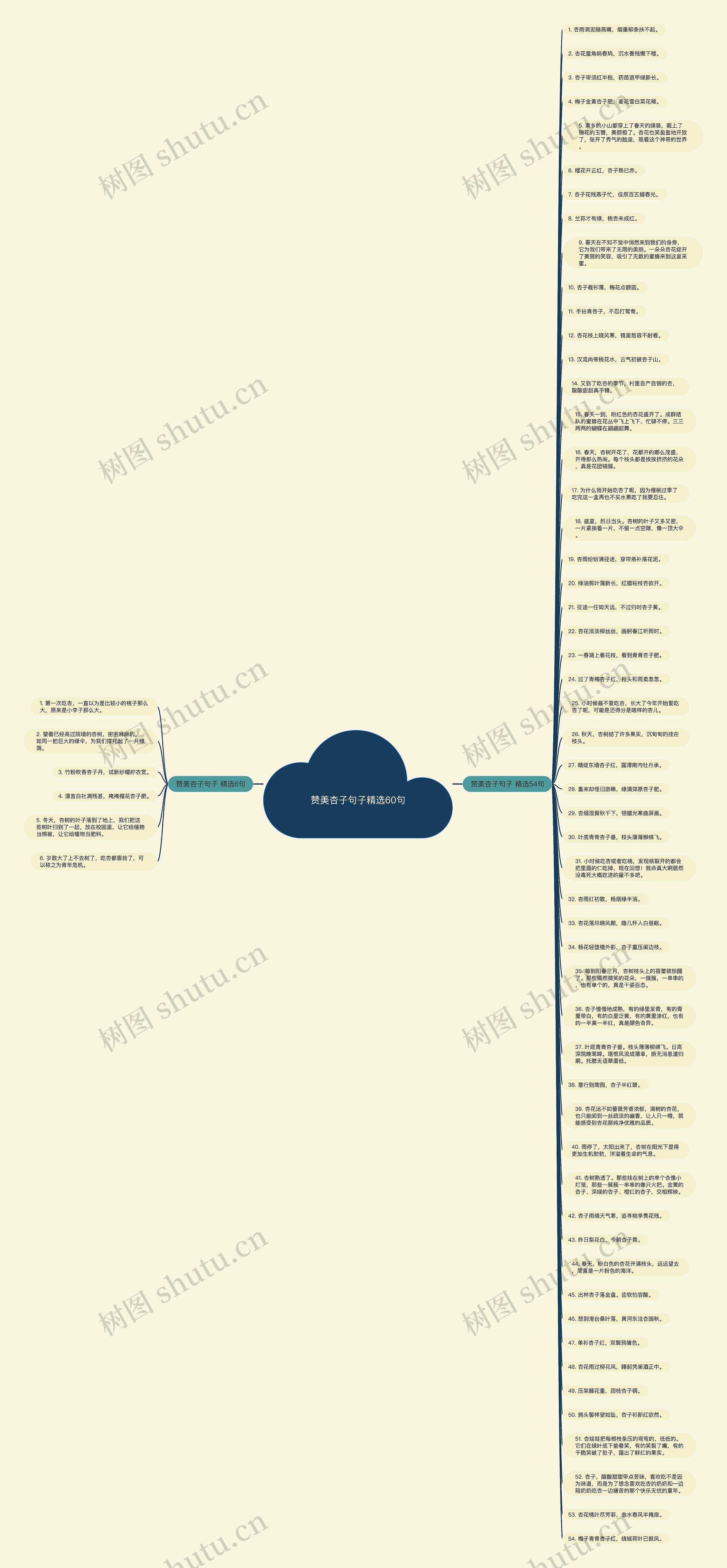 赞美杏子句子精选60句思维导图
