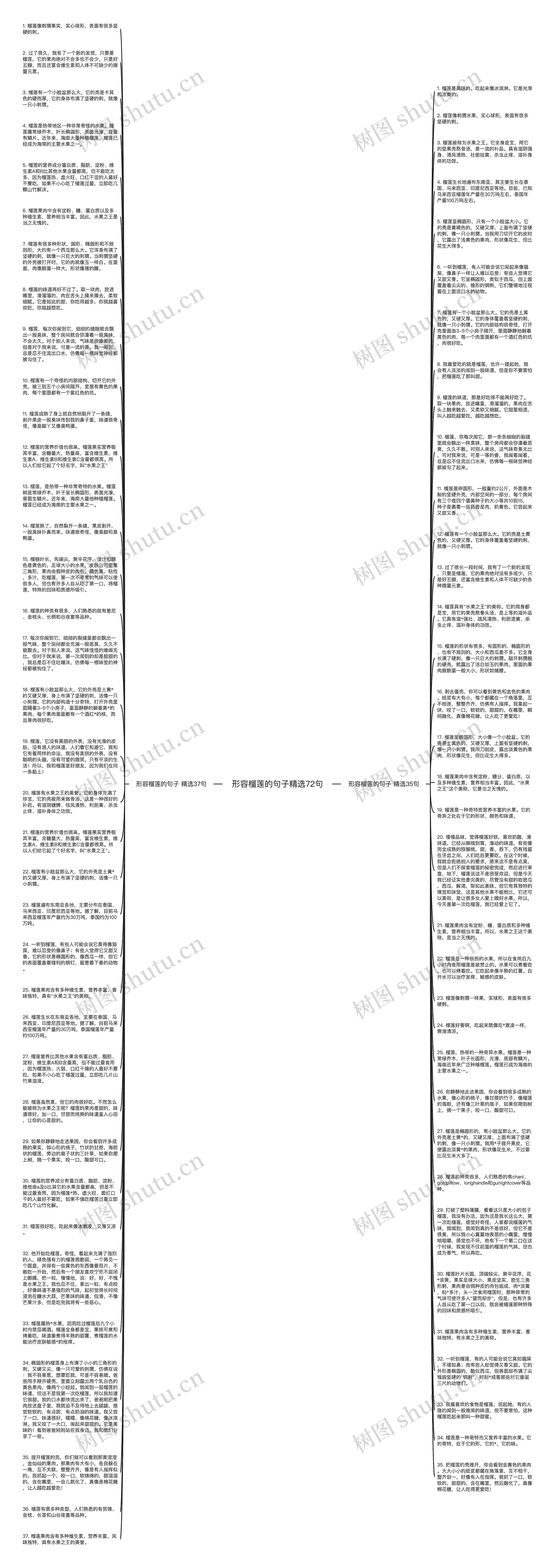 形容榴莲的句子精选72句思维导图
