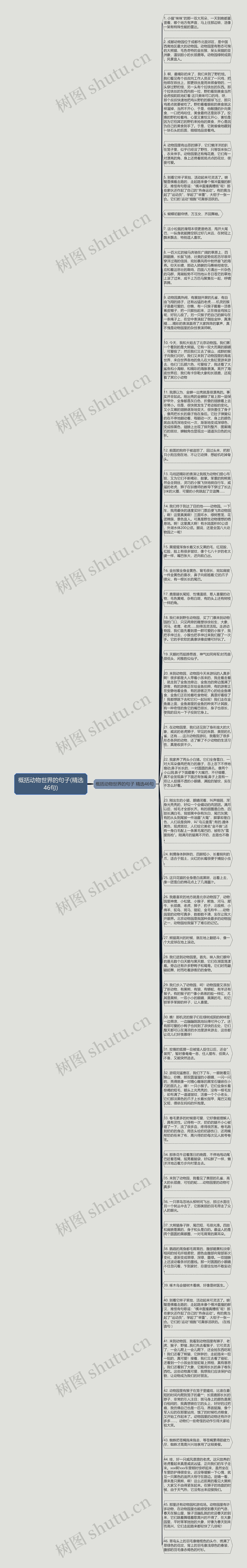 概括动物世界的句子(精选46句)思维导图