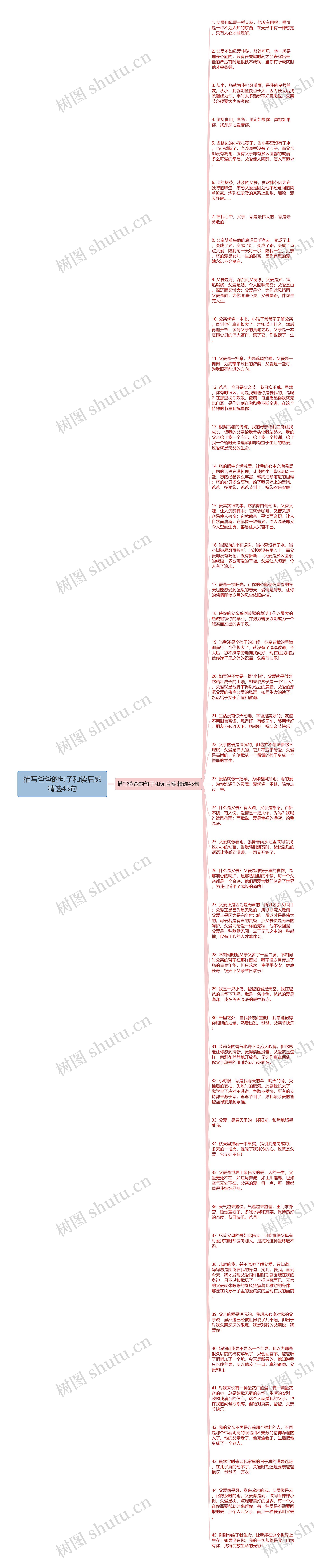 描写爸爸的句子和读后感精选45句思维导图