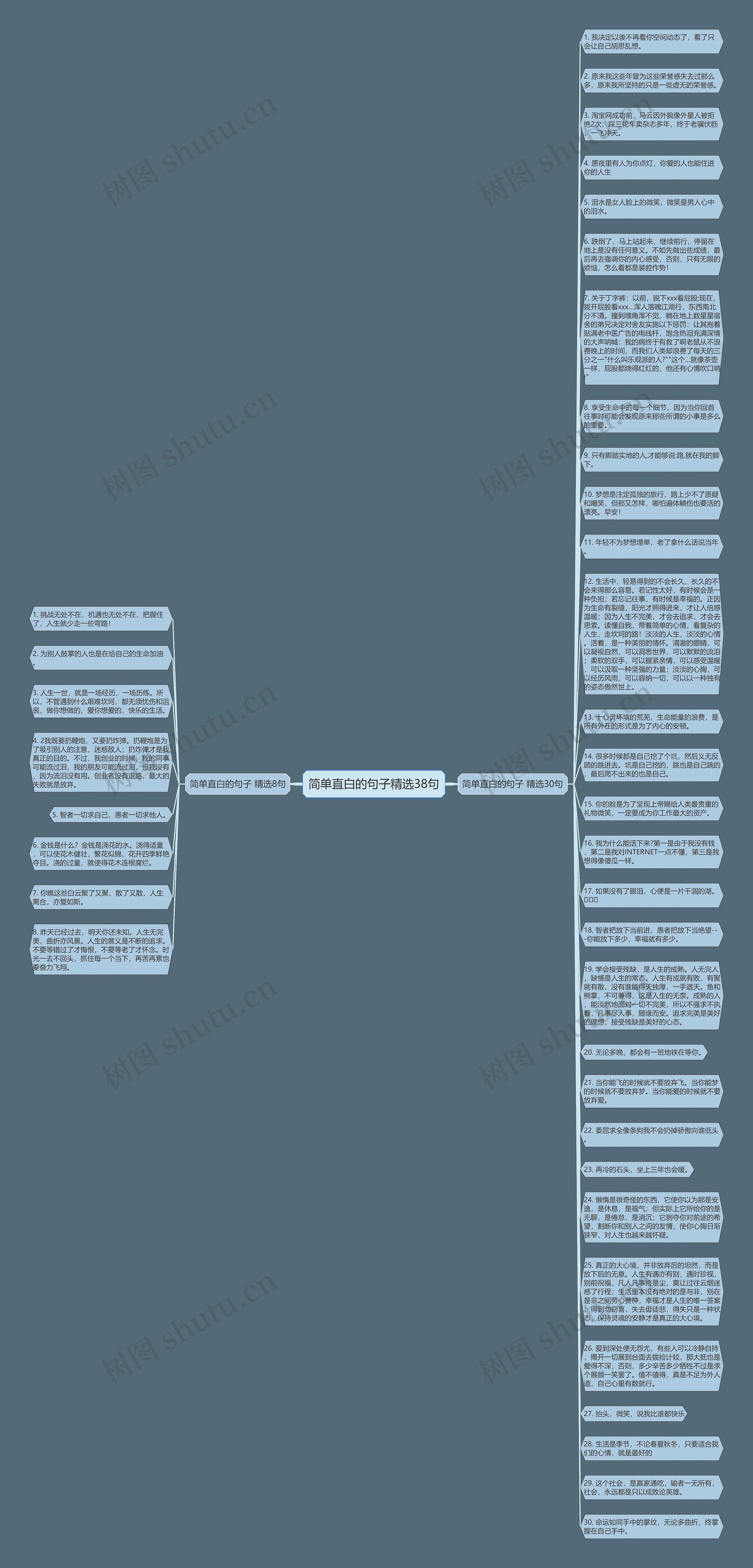 简单直白的句子精选38句思维导图