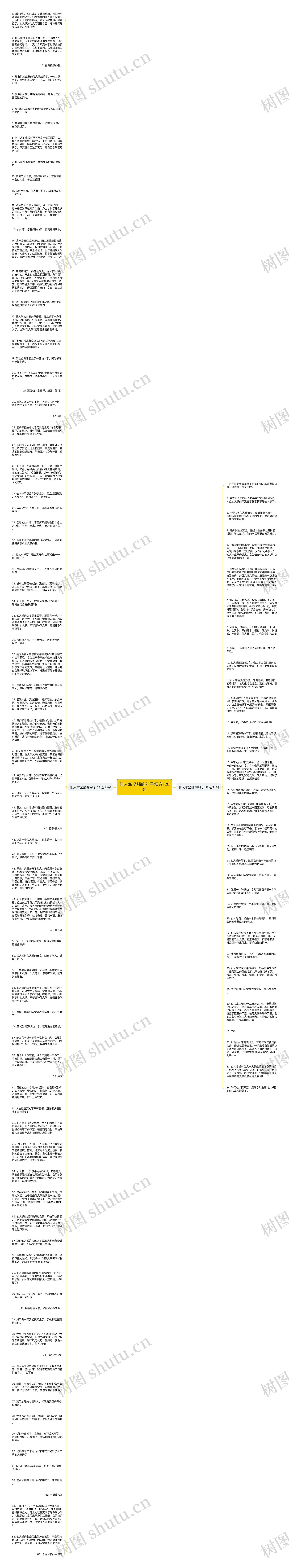 仙人掌坚强的句子精选120句思维导图