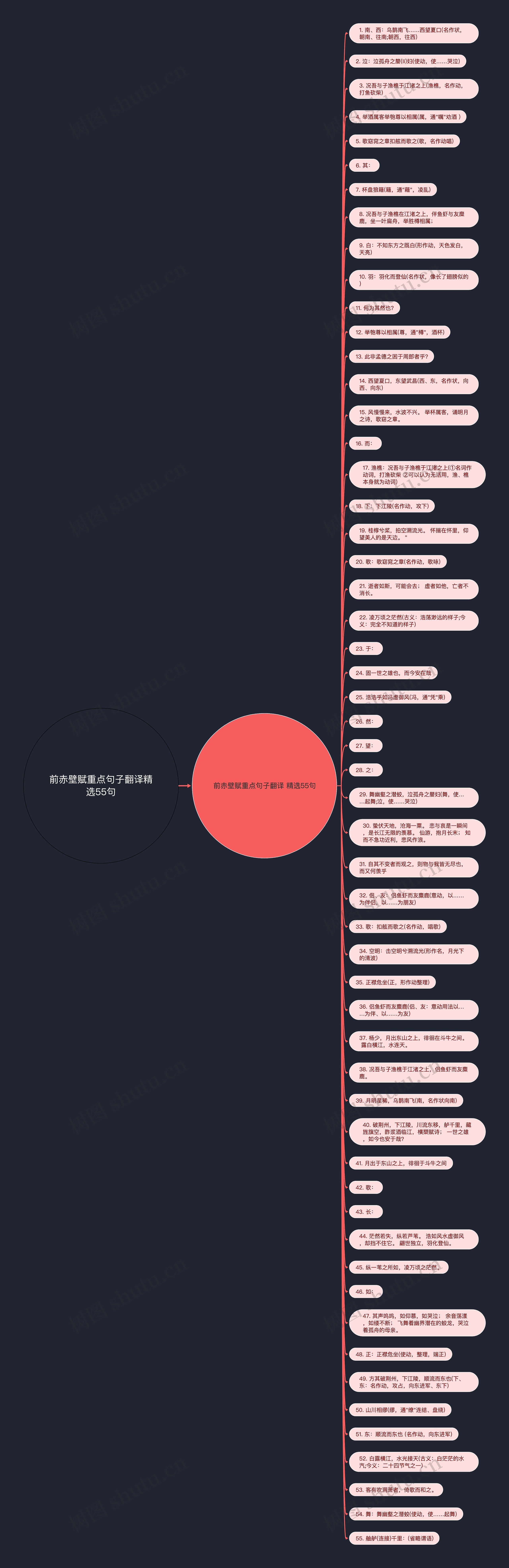 前赤壁赋重点句子翻译精选55句思维导图