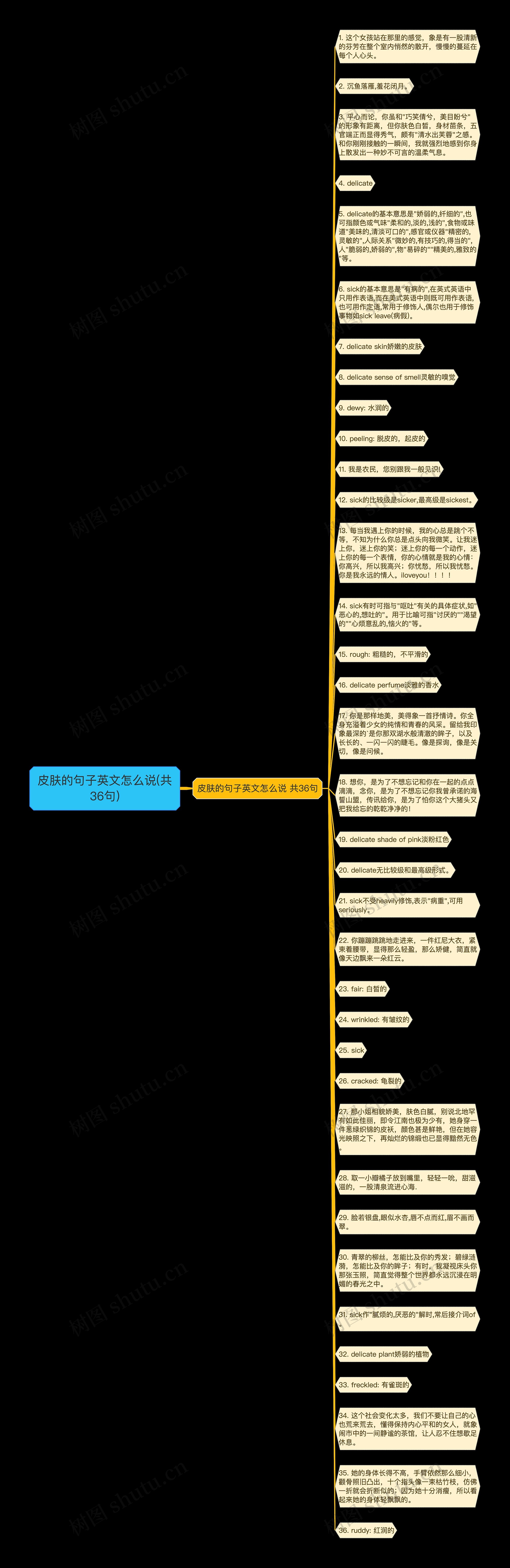 皮肤的句子英文怎么说(共36句)思维导图