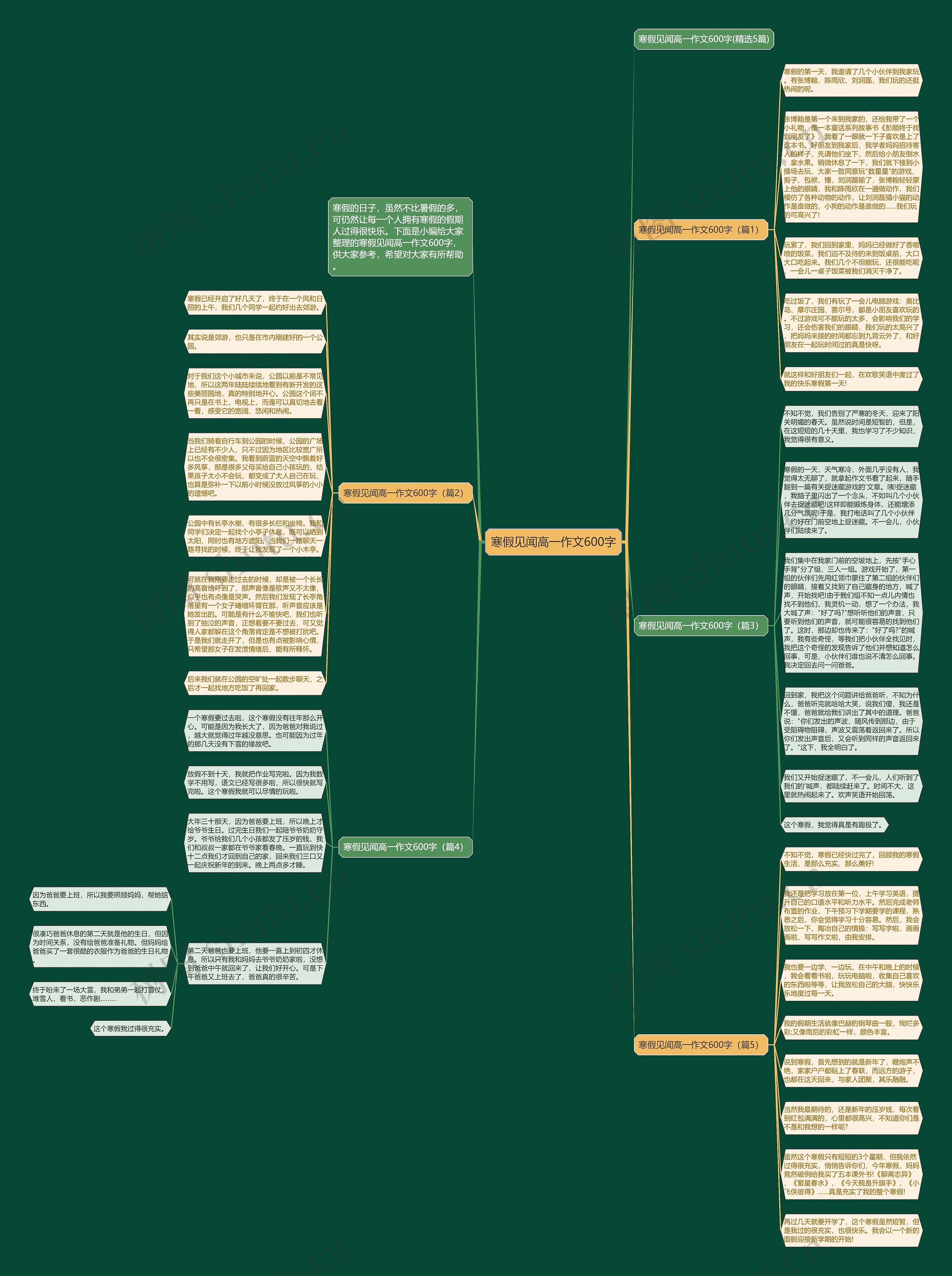 寒假见闻高一作文600字思维导图